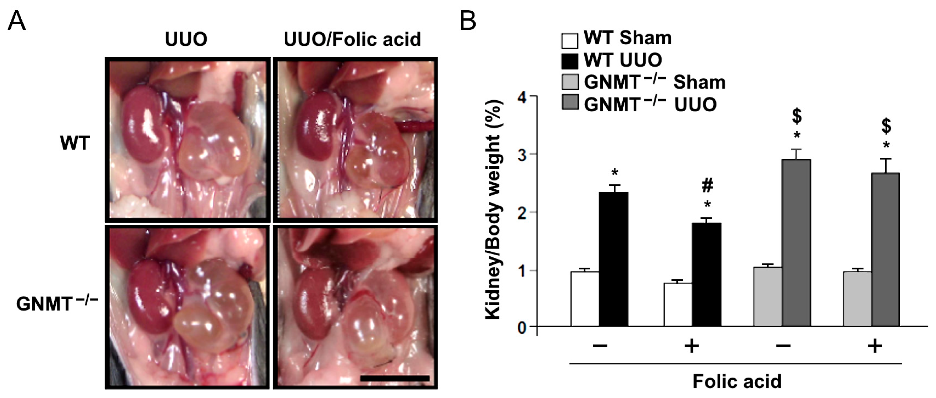 Ijms 24 06859 g003 Ijms 24 06859 g003