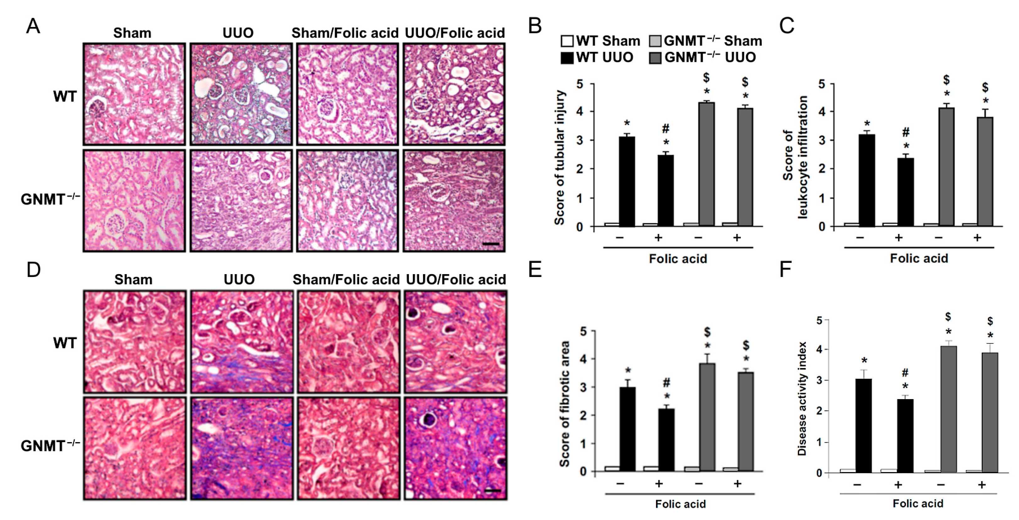 Ijms 24 06859 g004 Ijms 24 06859 g004