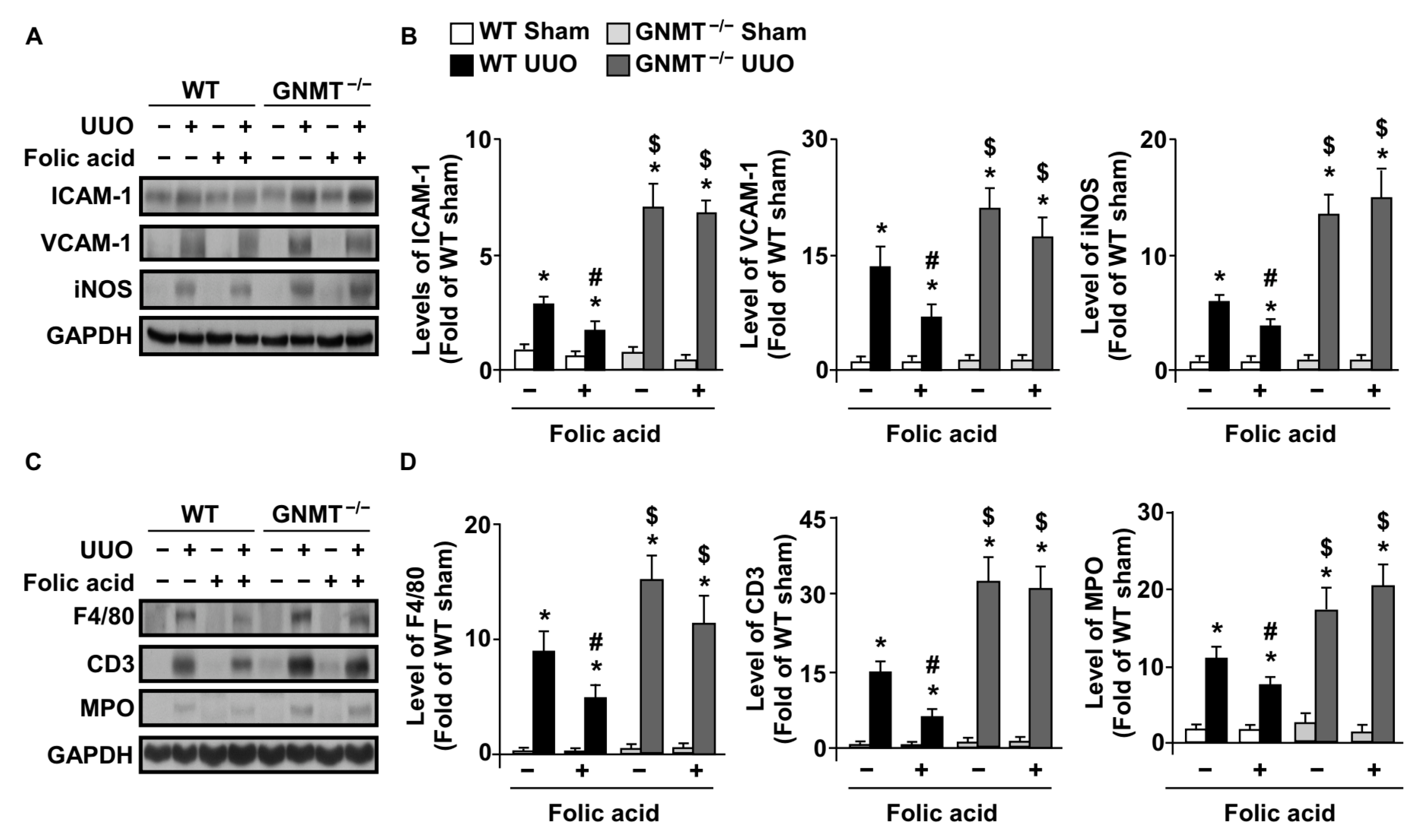 Ijms 24 06859 g005 Ijms 24 06859 g005