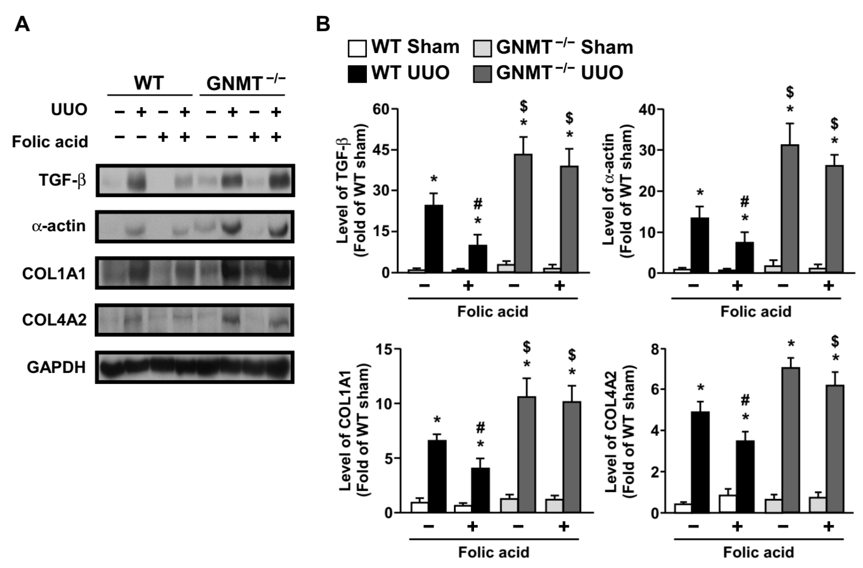 Ijms 24 06859 g006 Ijms 24 06859 g006