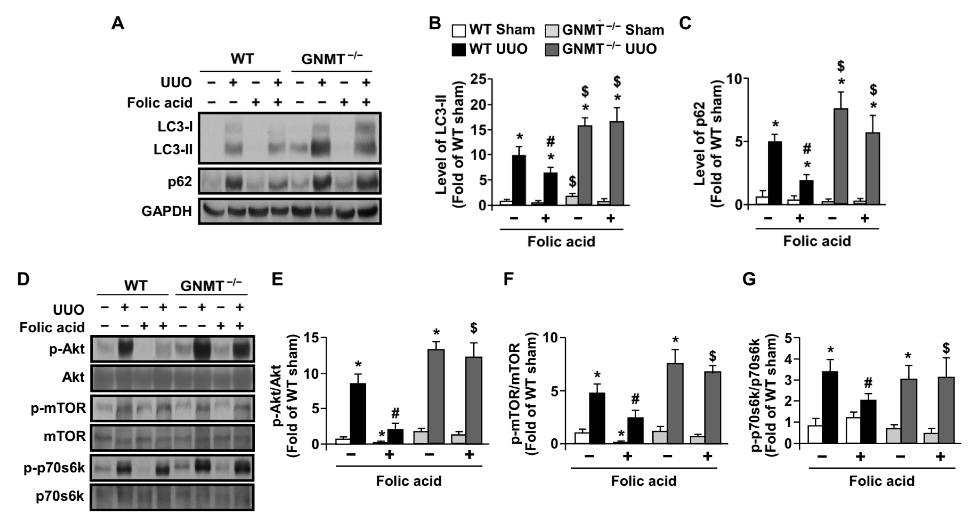 Ijms 24 06859 g007 Ijms 24 06859 g007