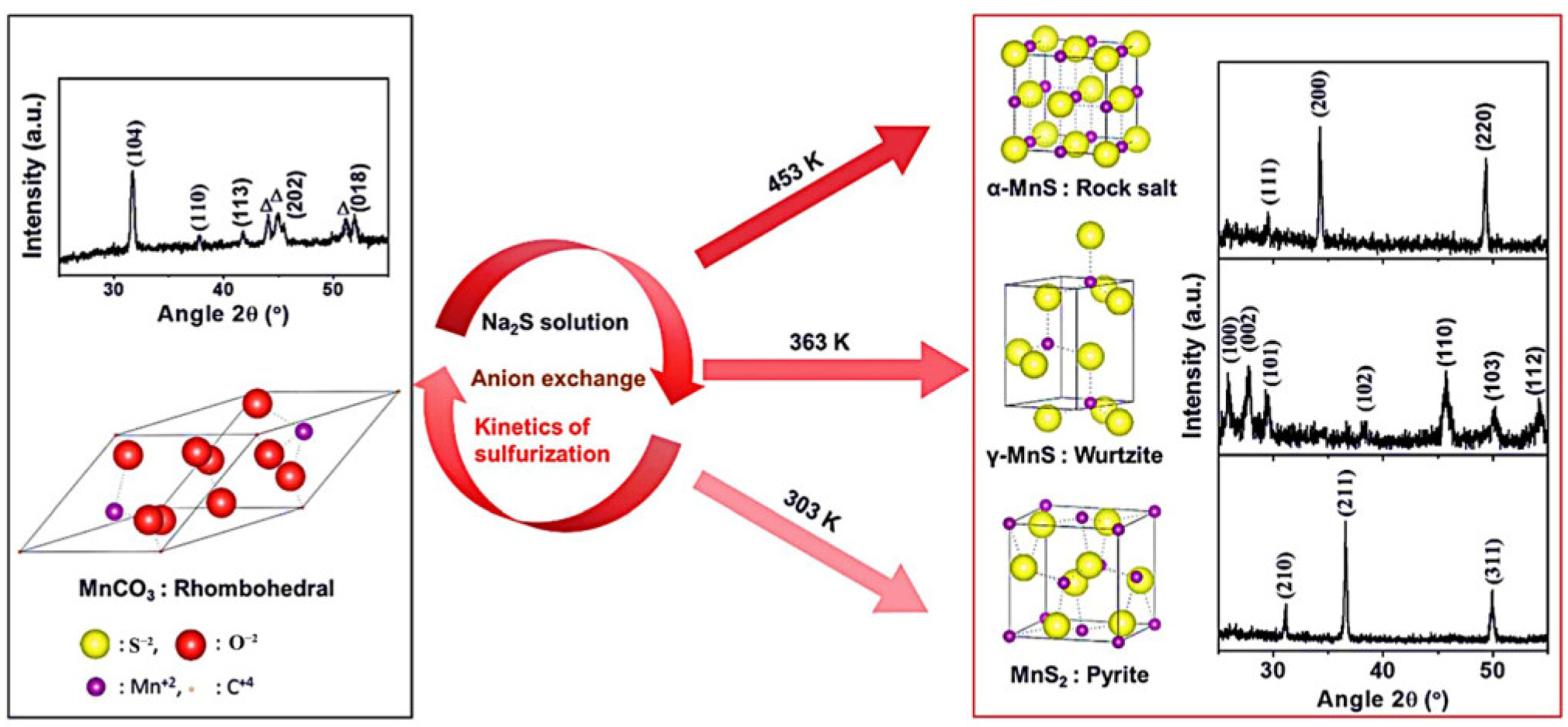 Ijms 24 06861 g002 Ijms 24 06861 g002