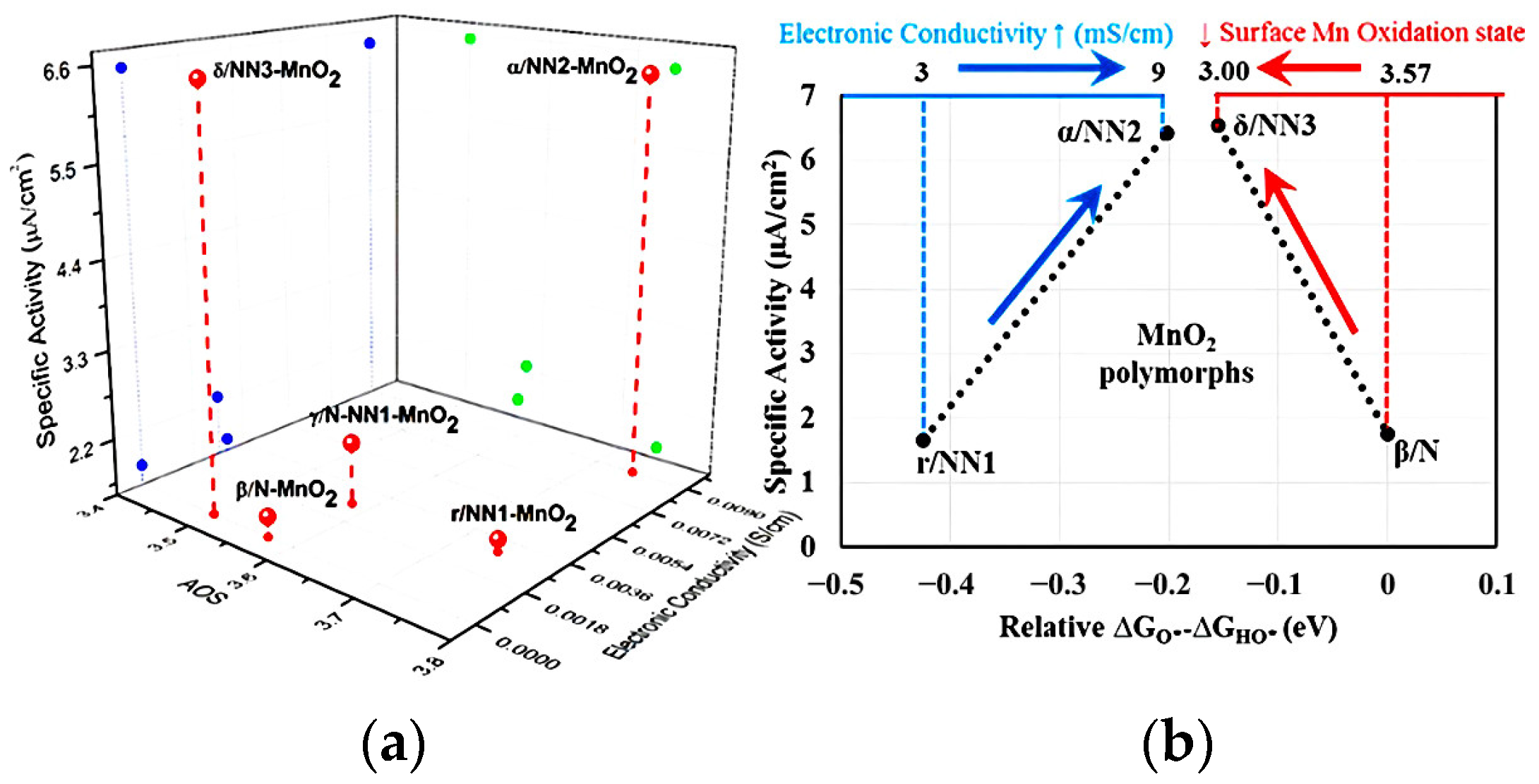 Ijms 24 06861 g003 Ijms 24 06861 g003