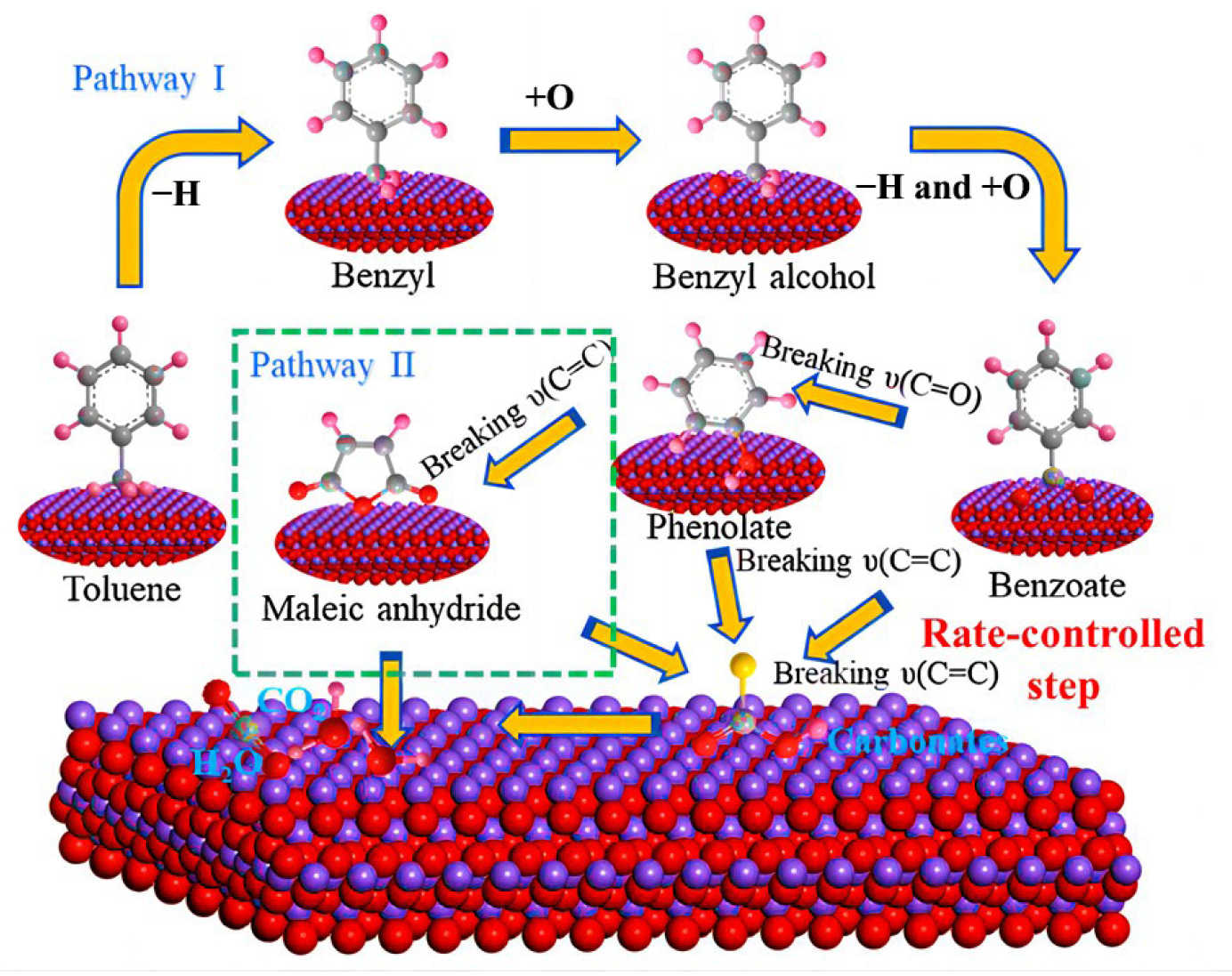 Ijms 24 06861 g004 Ijms 24 06861 g004