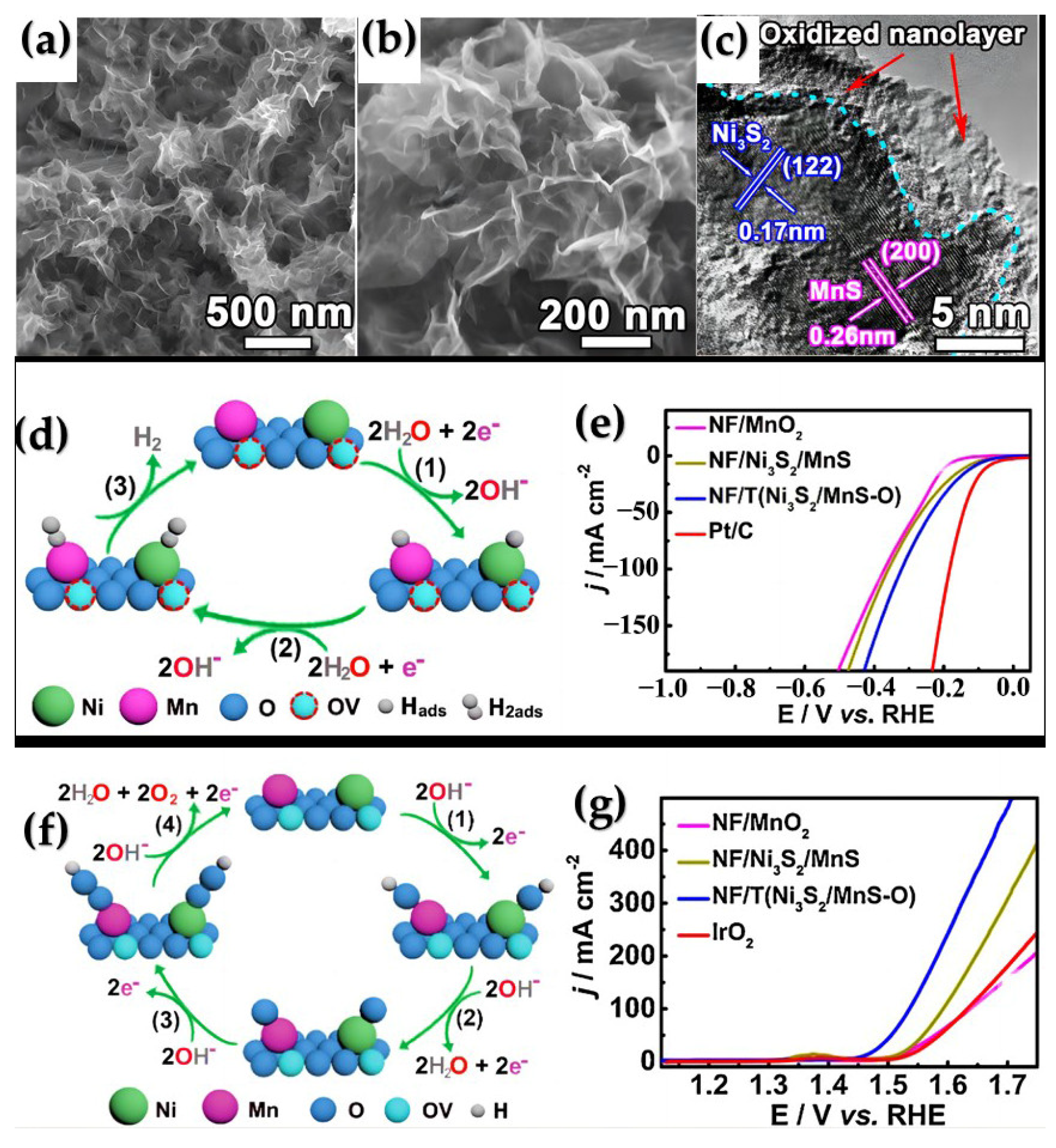 Ijms 24 06861 g005 Ijms 24 06861 g005