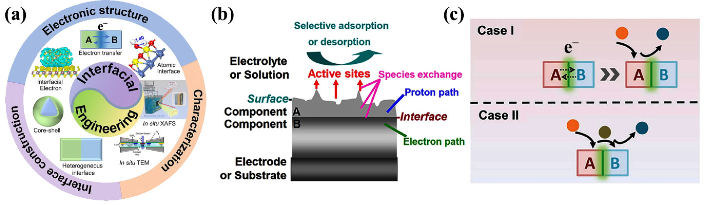 Ijms 24 06861 g007 Ijms 24 06861 g007