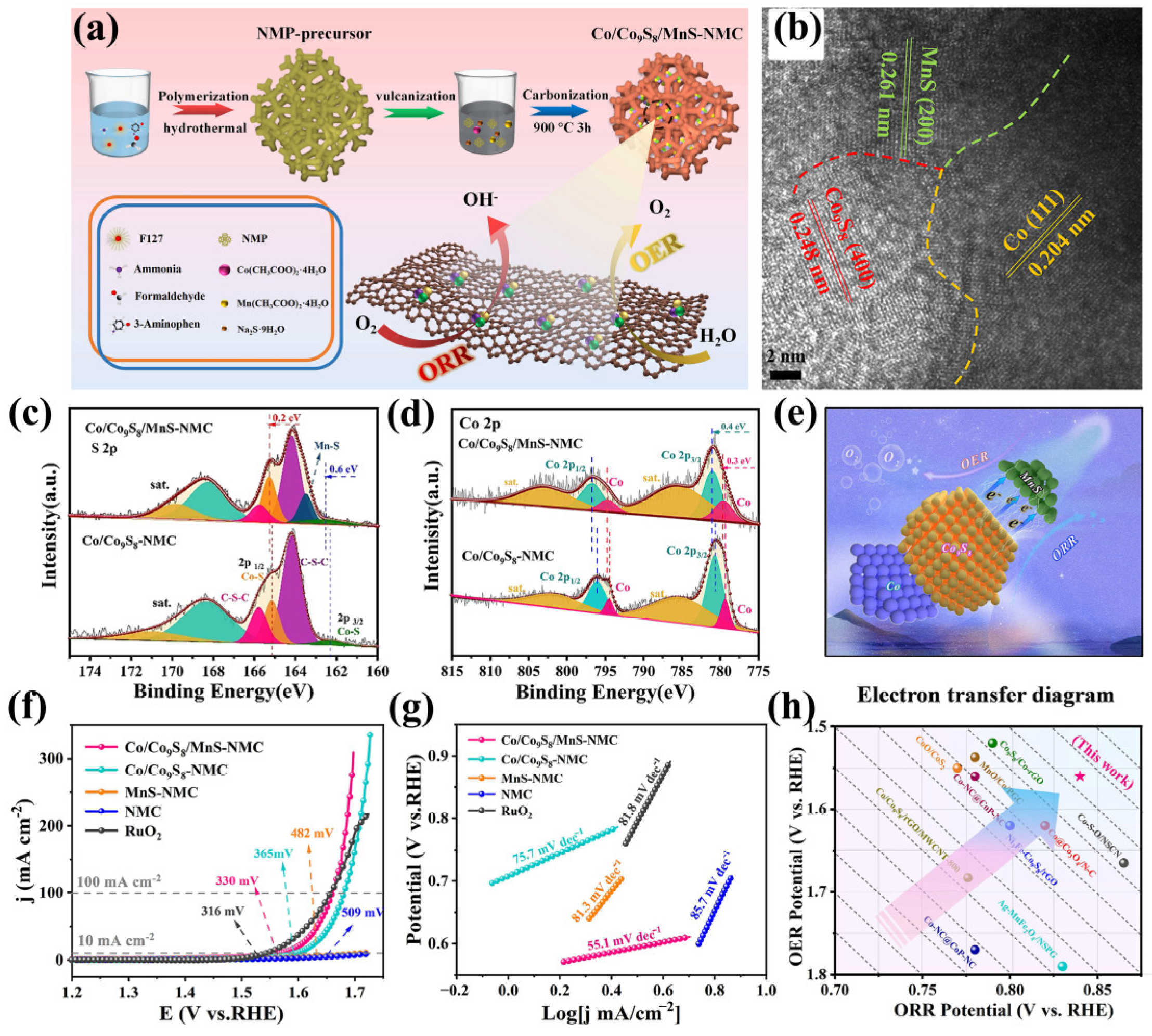 Ijms 24 06861 g008 Ijms 24 06861 g008