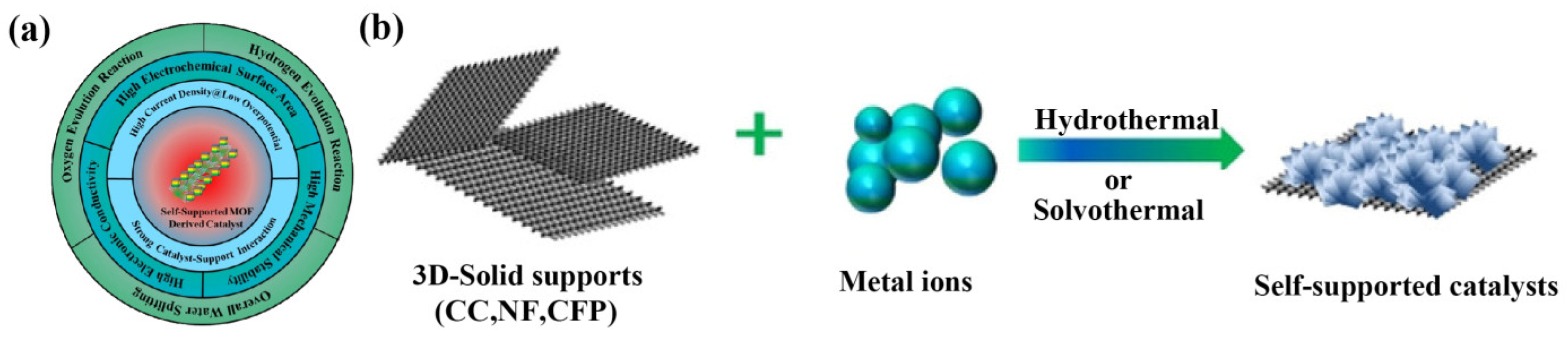 Ijms 24 06861 g009 Ijms 24 06861 g009