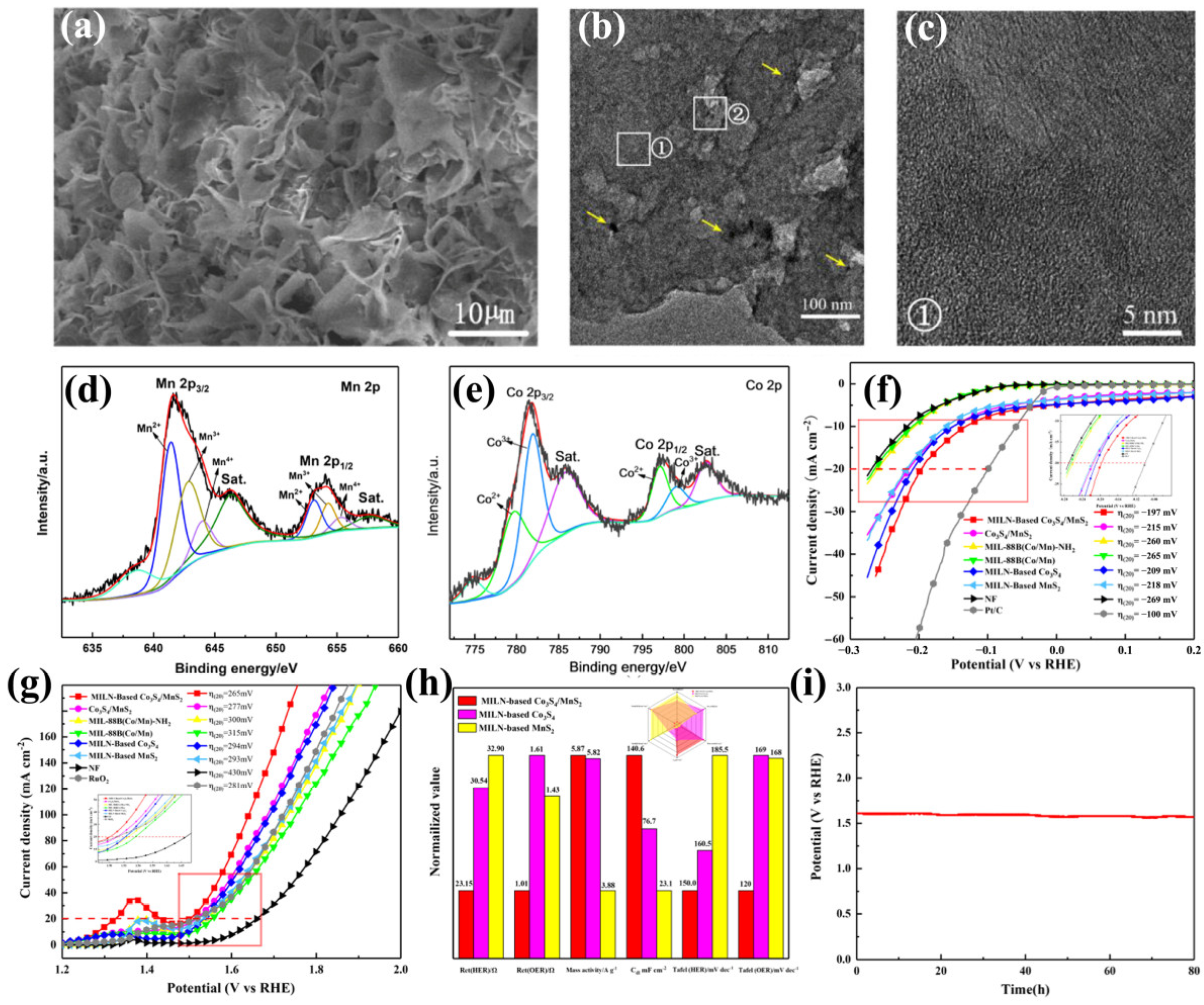 Ijms 24 06861 g010 Ijms 24 06861 g010