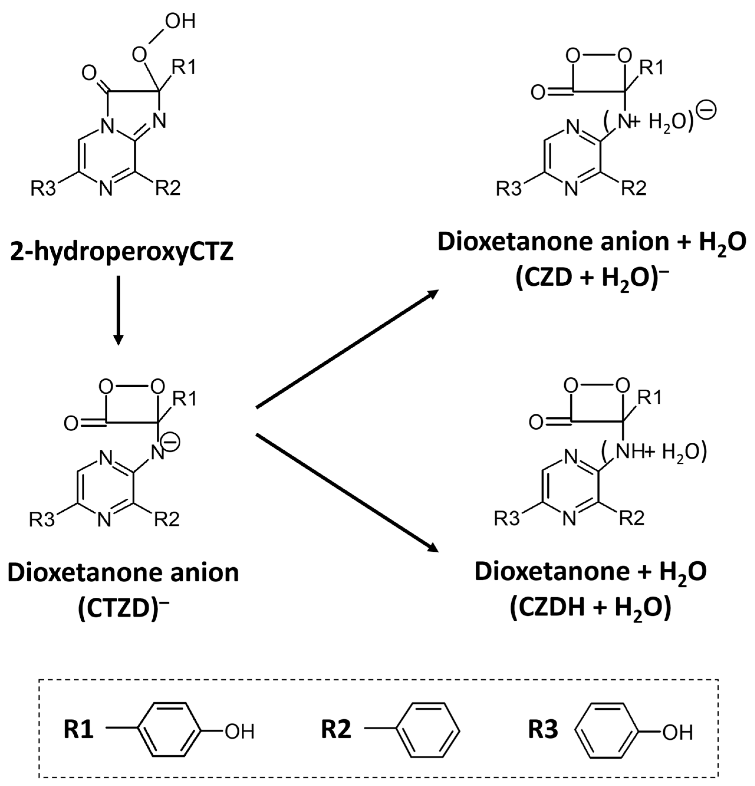 Ijms 24 06869 g007 Ijms 24 06869 g007
