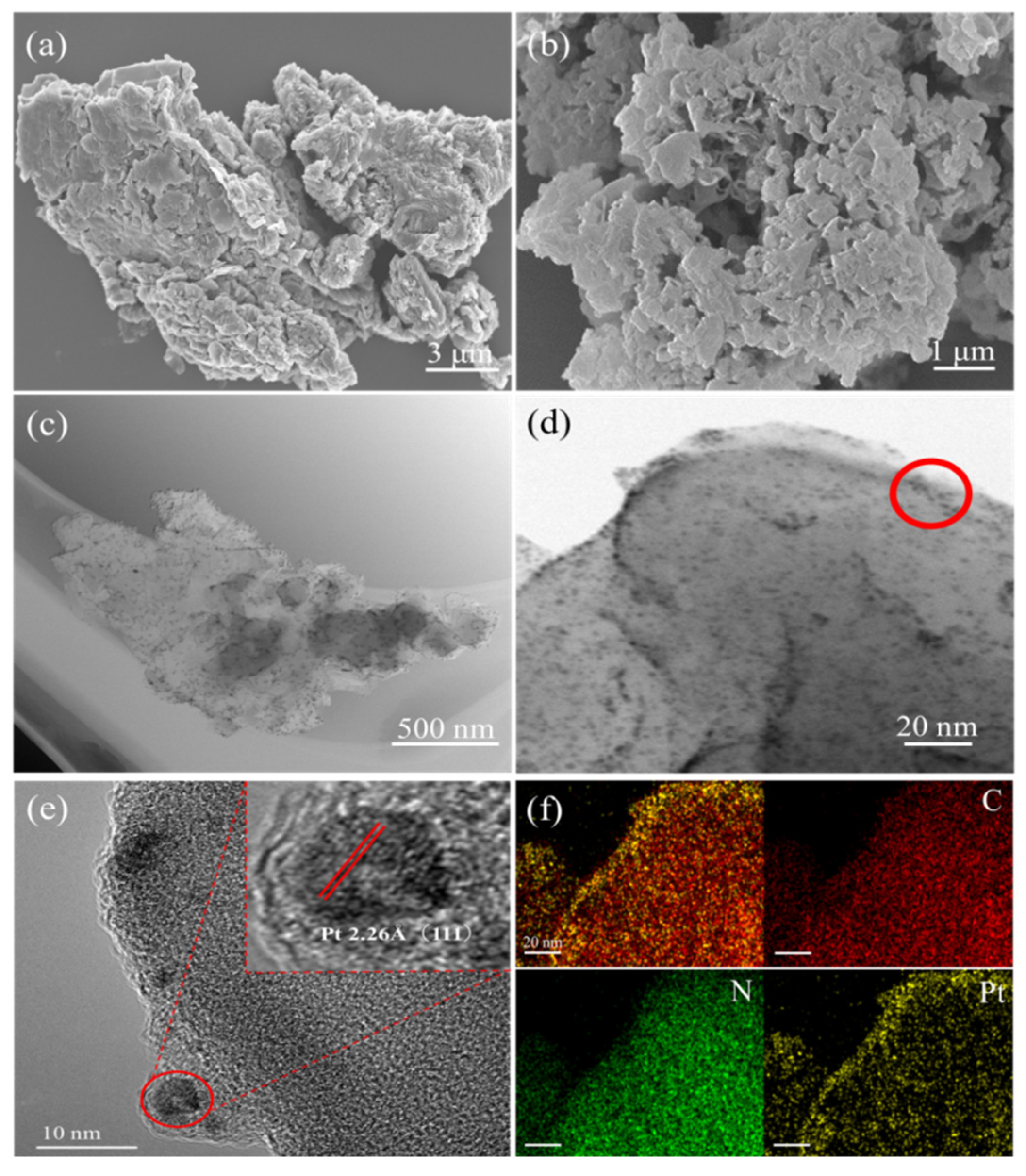 Ijms 24 06872 g002 Ijms 24 06872 g002