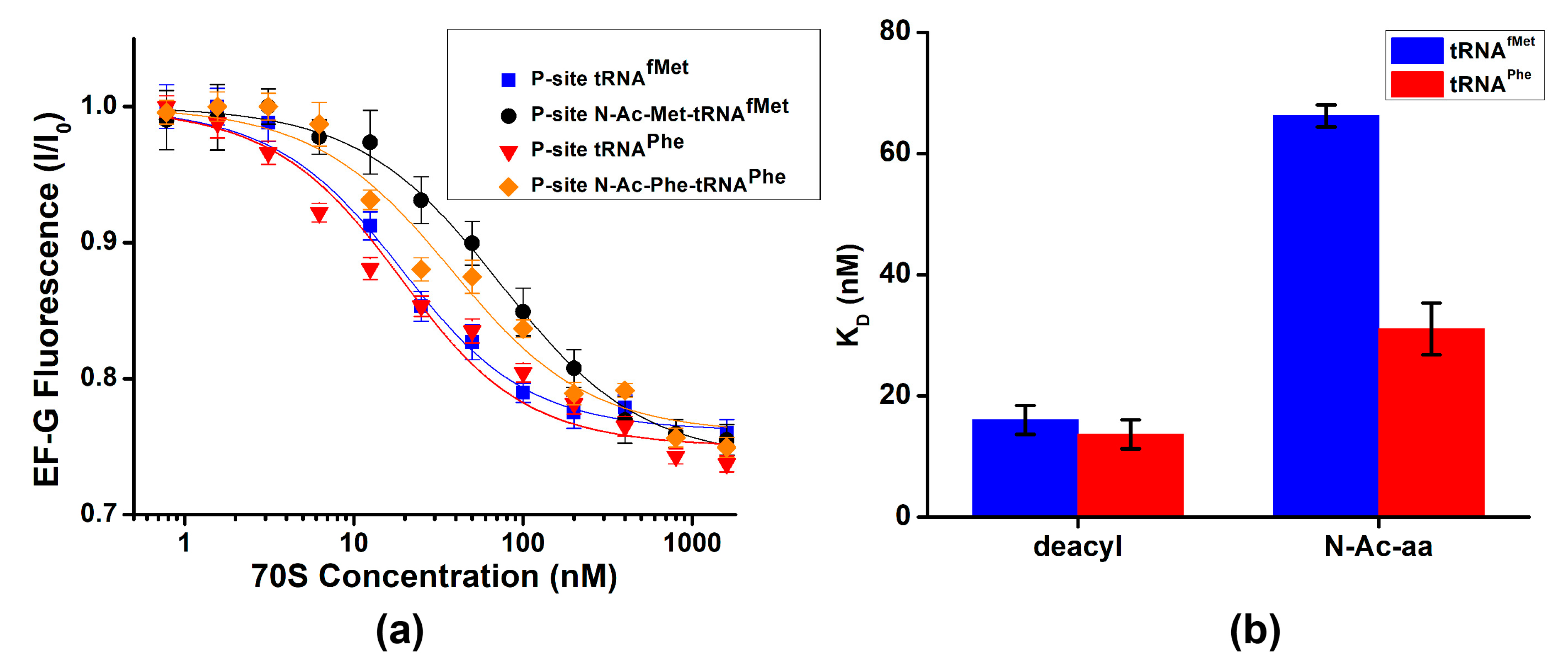 Ijms 24 06878 g003 Ijms 24 06878 g003