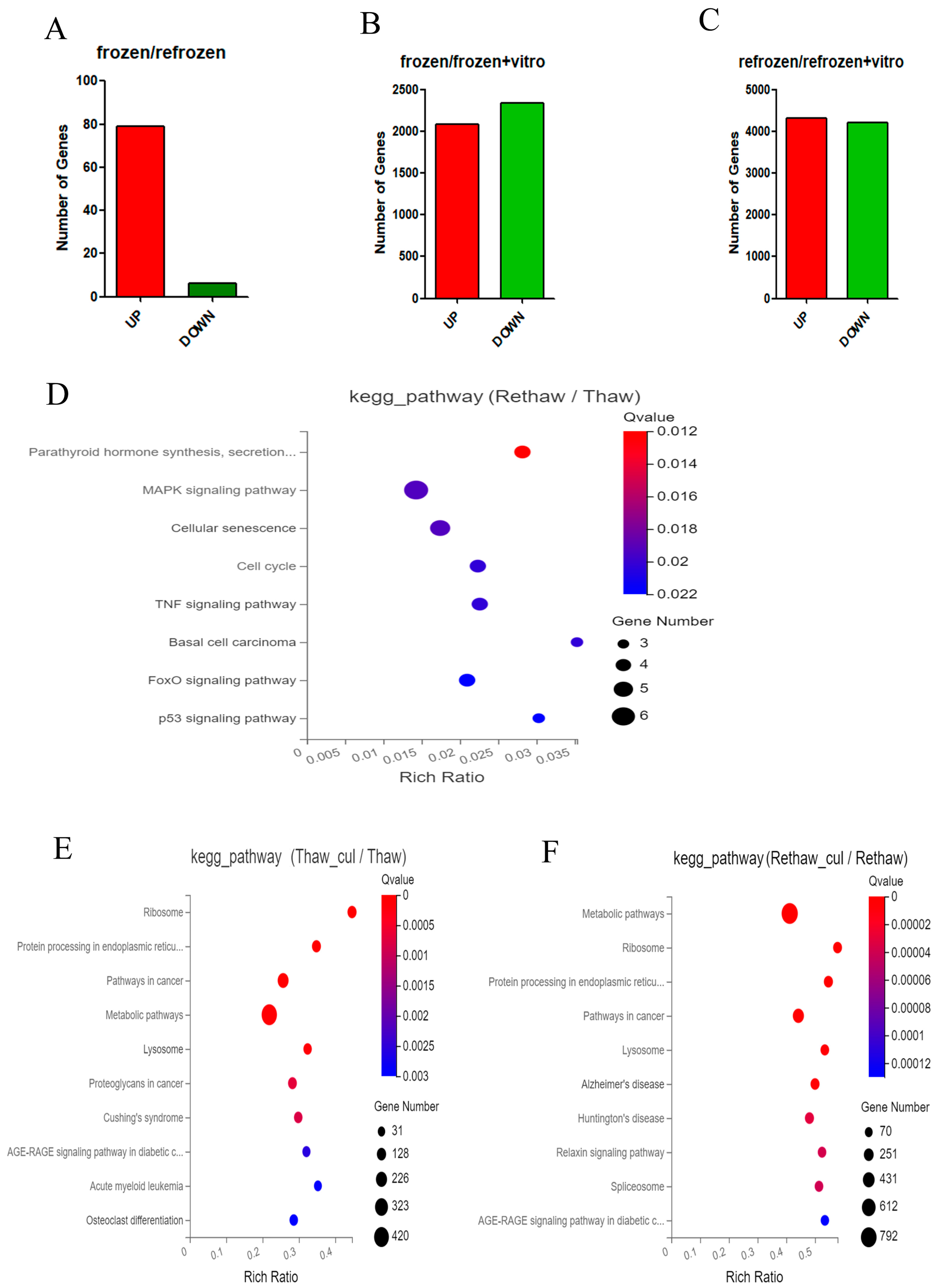 Ijms 24 06880 g001 Ijms 24 06880 g001
