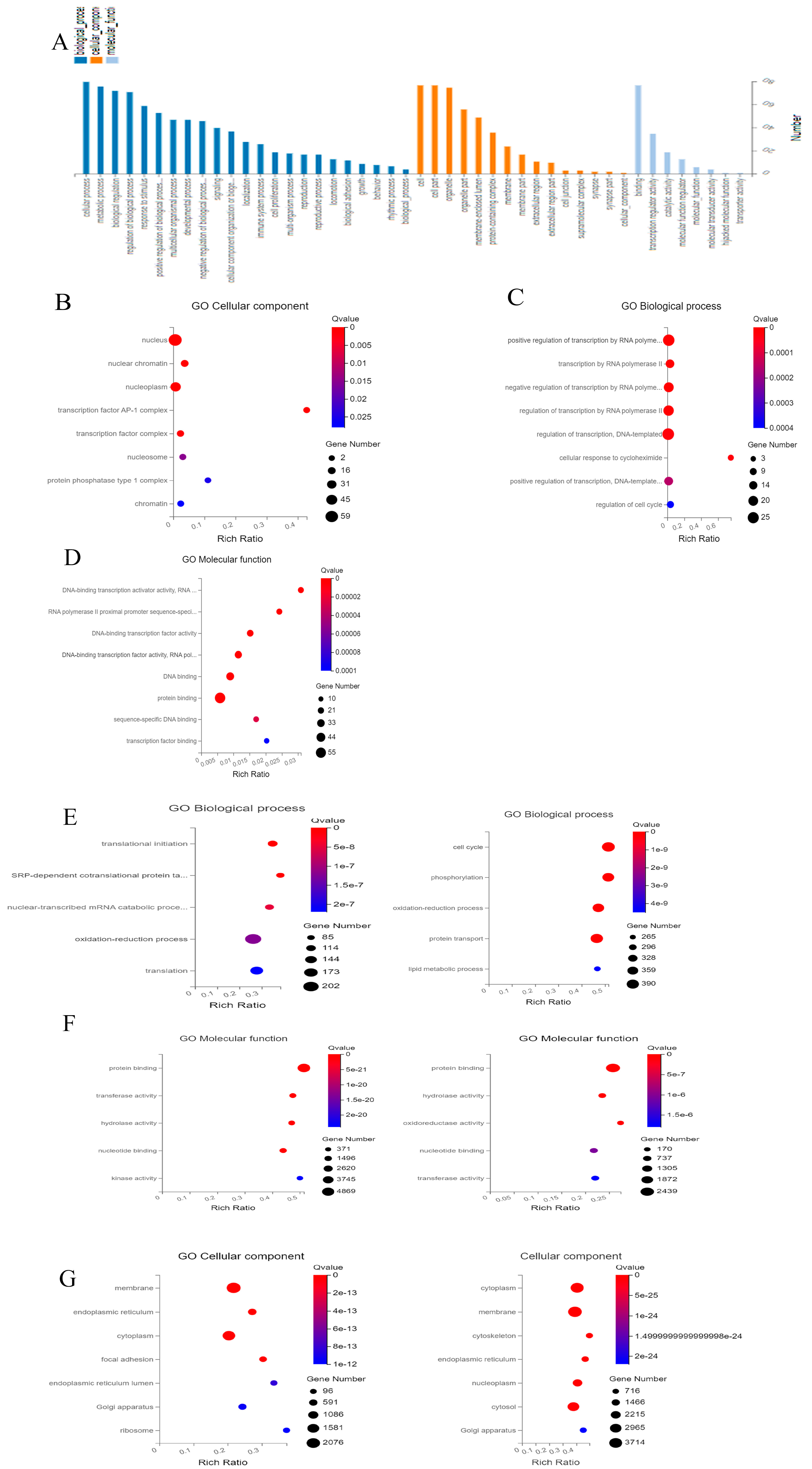 Ijms 24 06880 g002 Ijms 24 06880 g002