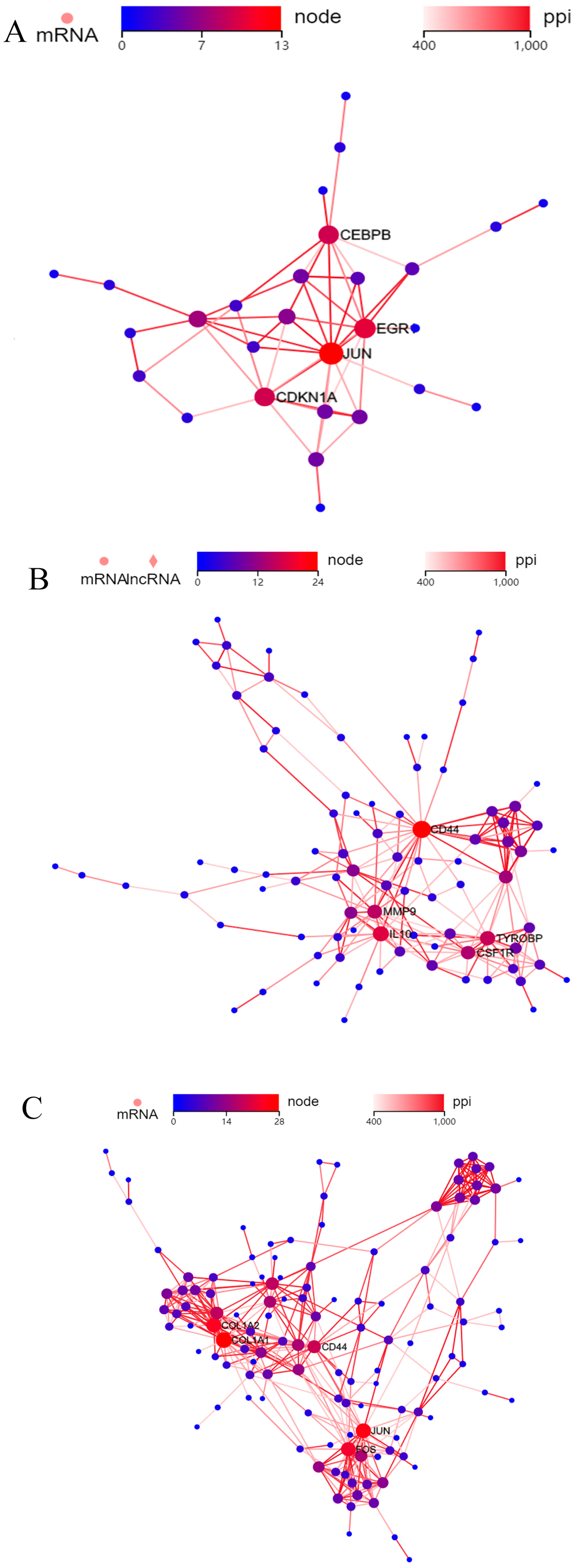 Ijms 24 06880 g003 Ijms 24 06880 g003