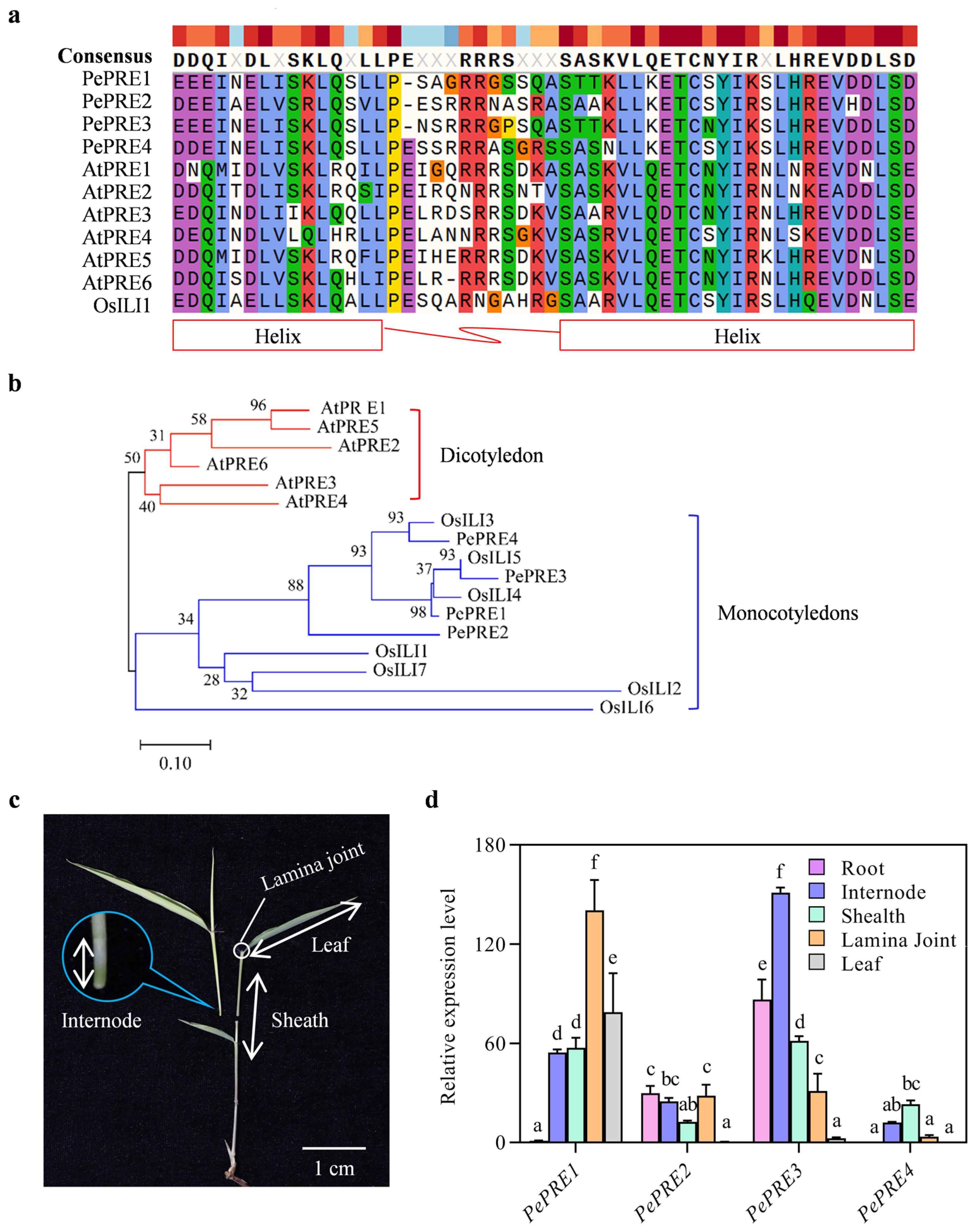 Ijms 24 06886 g001 Ijms 24 06886 g001