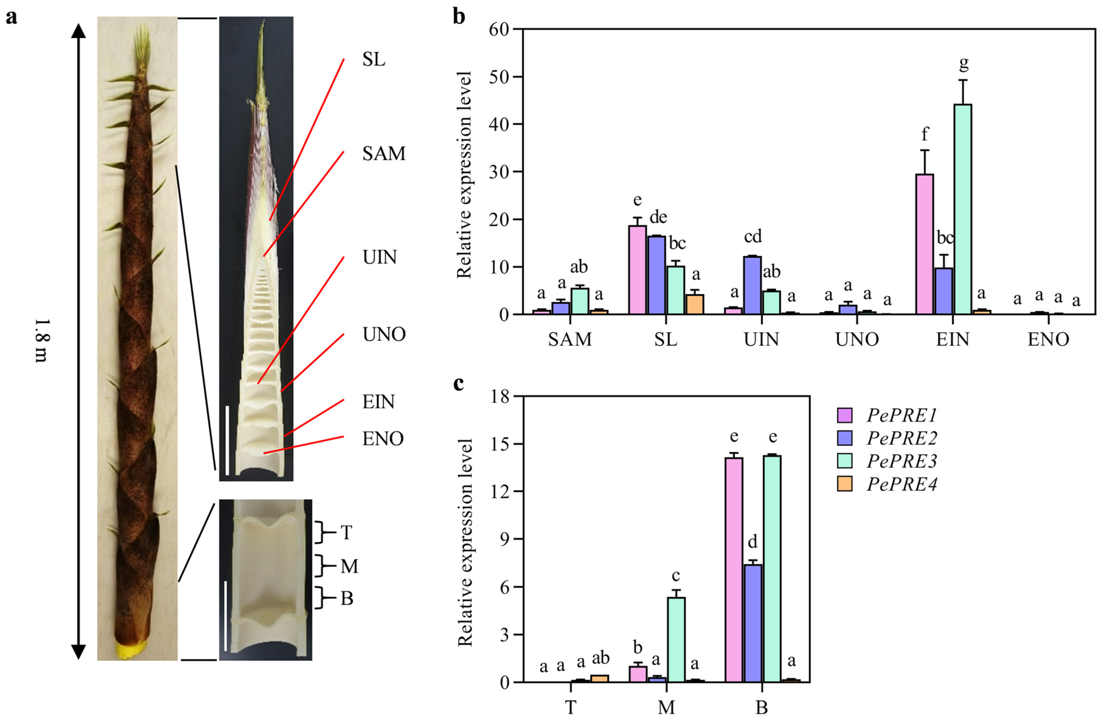 Ijms 24 06886 g002 Ijms 24 06886 g002