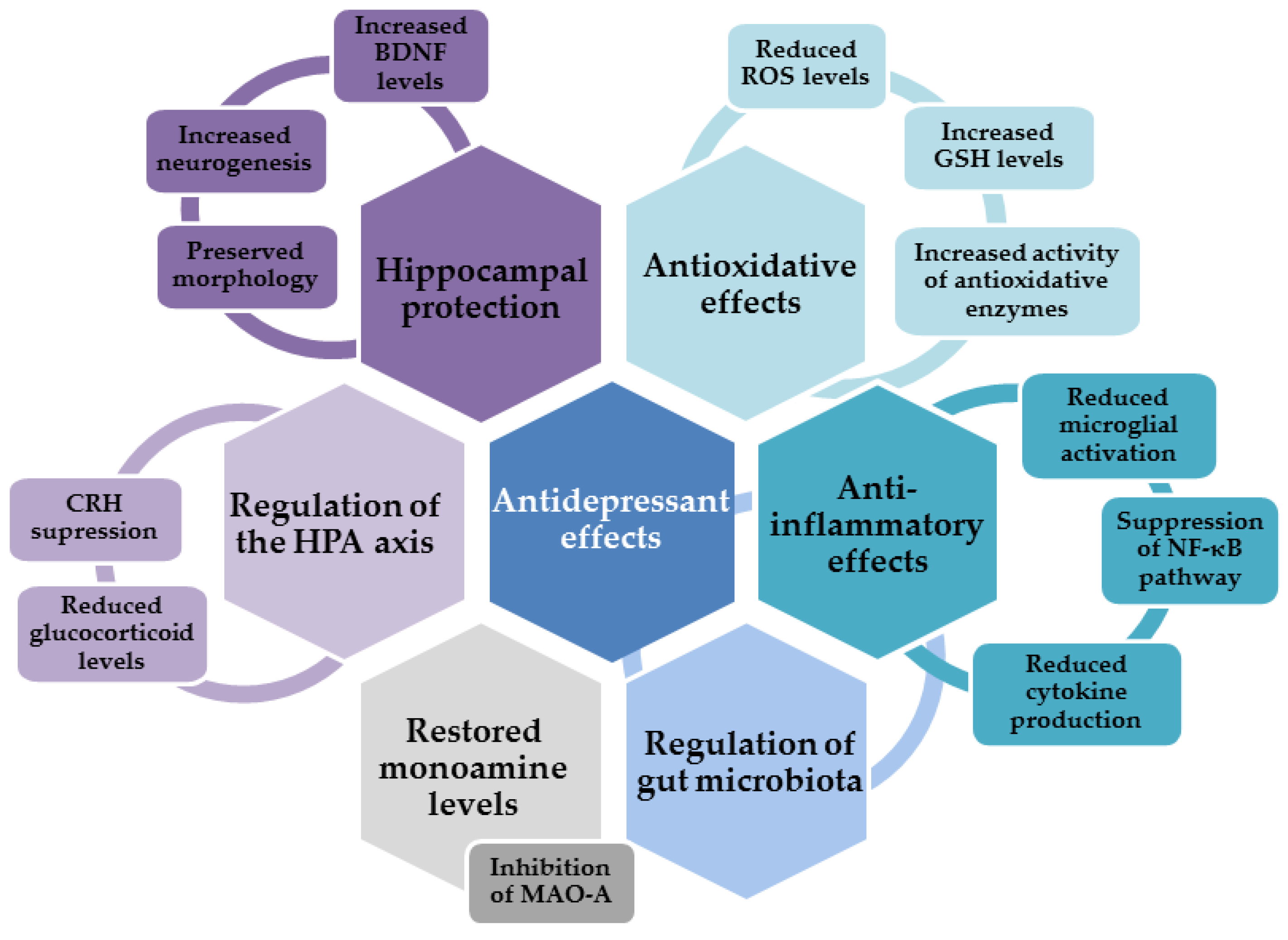 Ijms 24 06888 g002 Ijms 24 06888 g002