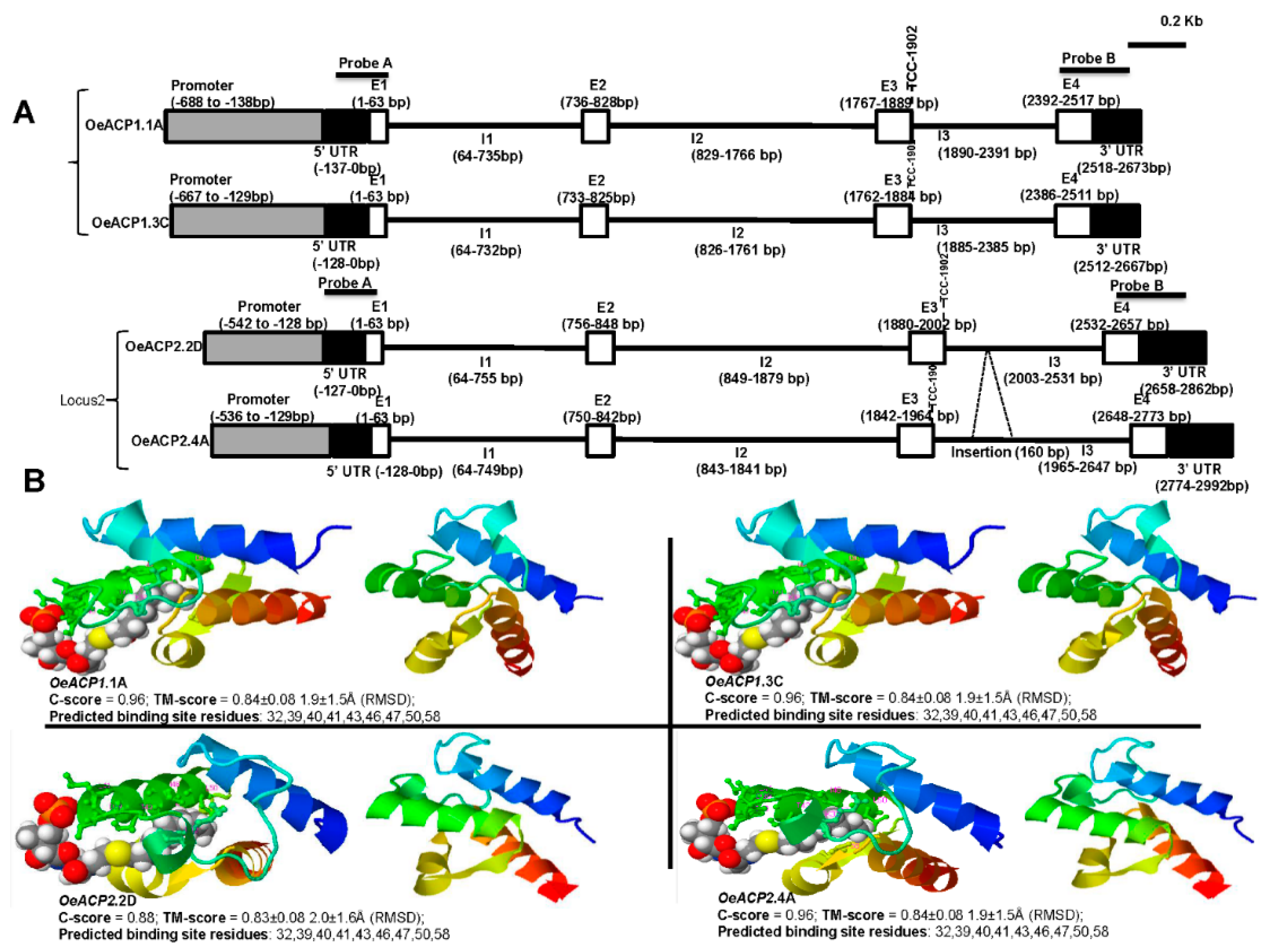 Ijms 24 06890 g001 Ijms 24 06890 g001