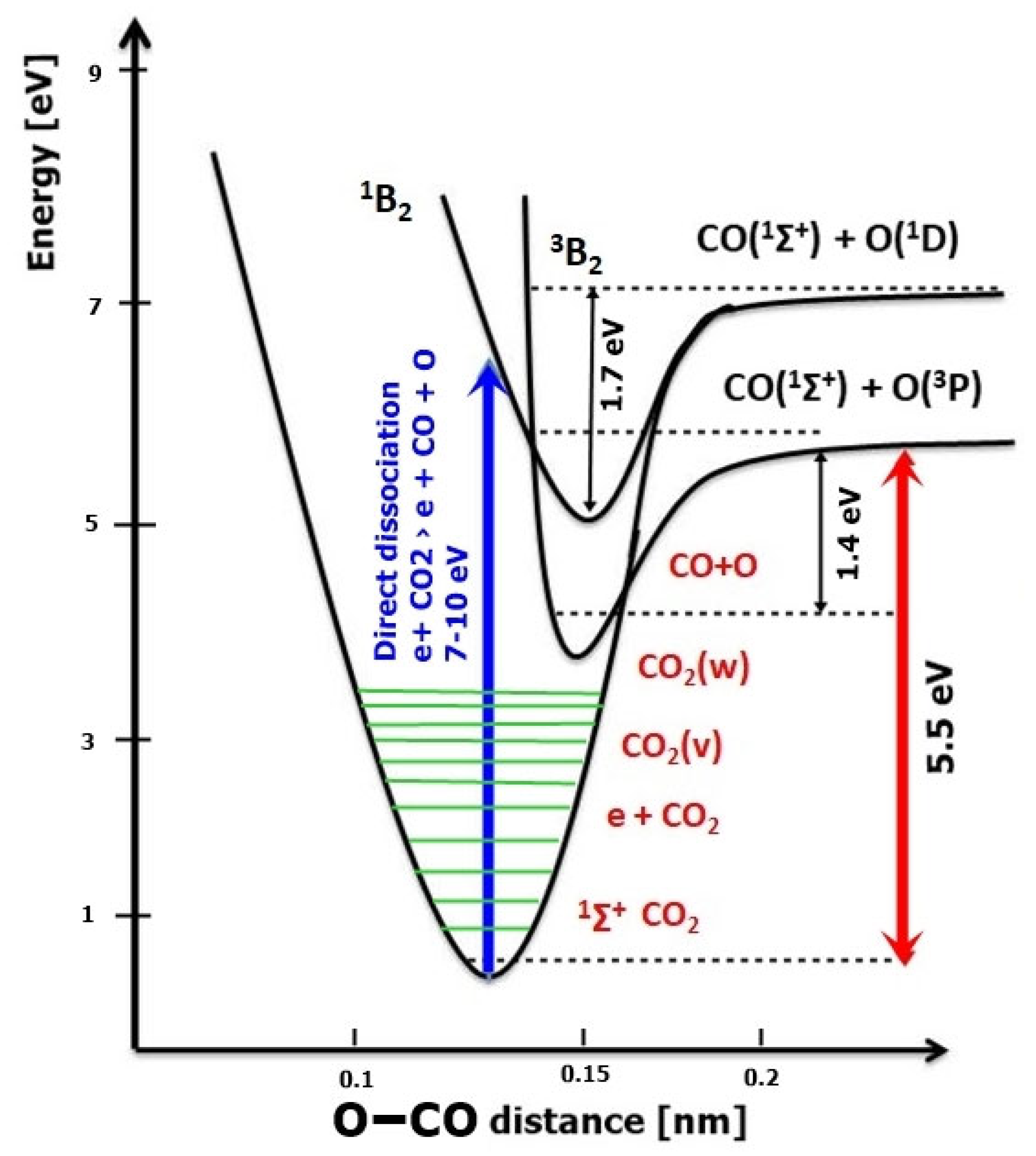 Ijms 24 06899 g005 Ijms 24 06899 g005