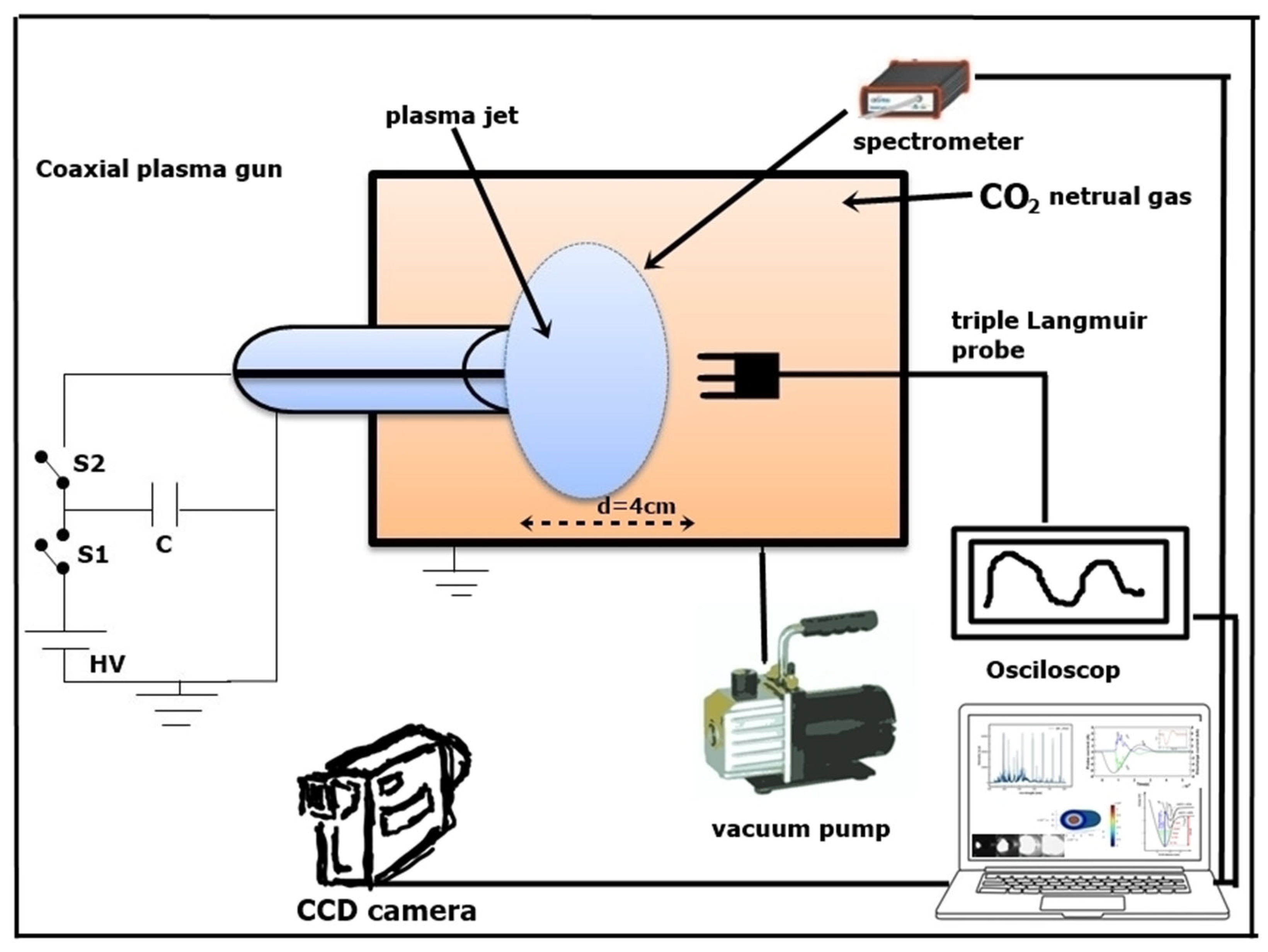 Ijms 24 06899 g006 Ijms 24 06899 g006