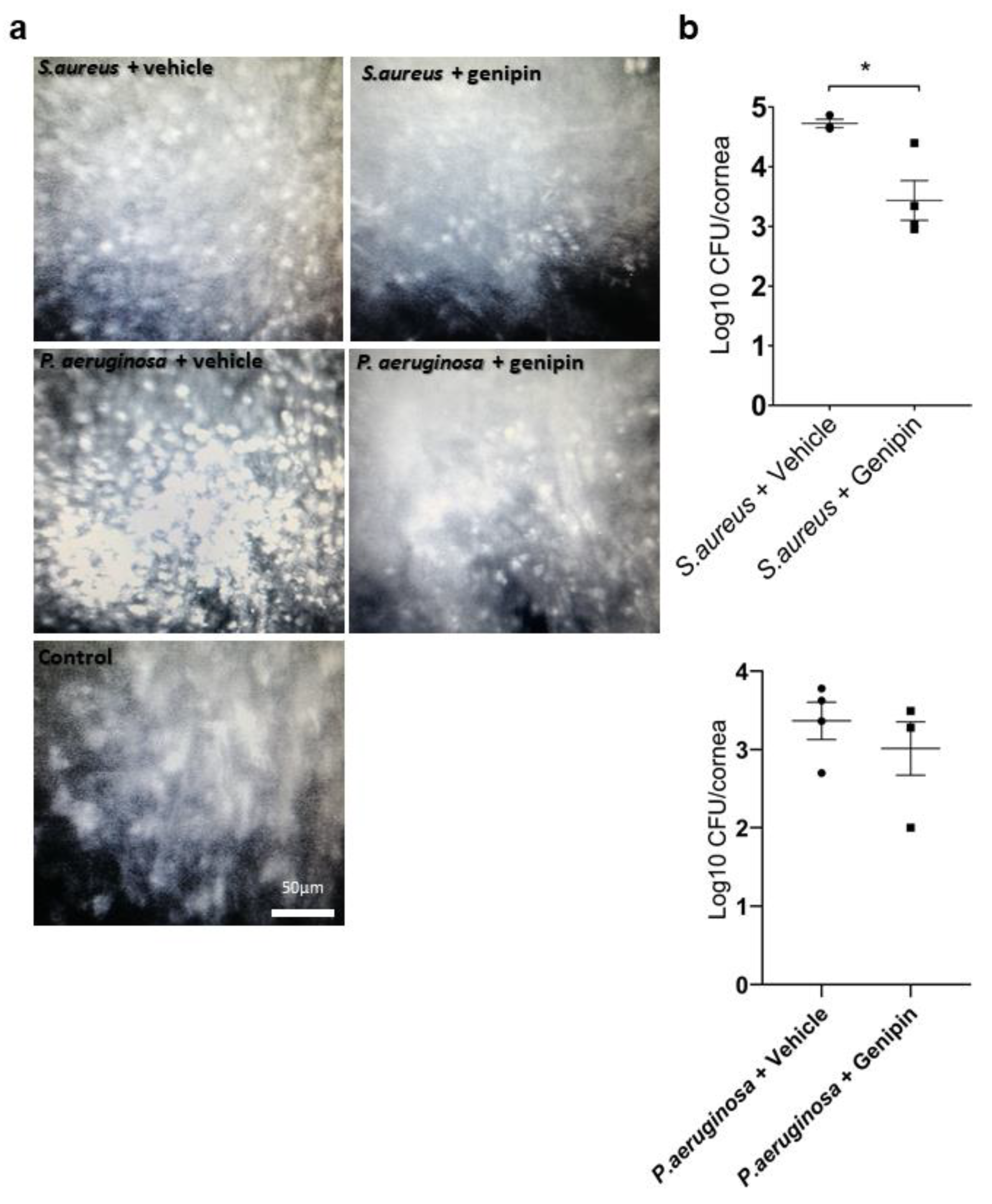 Ijms 24 06904 g002 Ijms 24 06904 g002