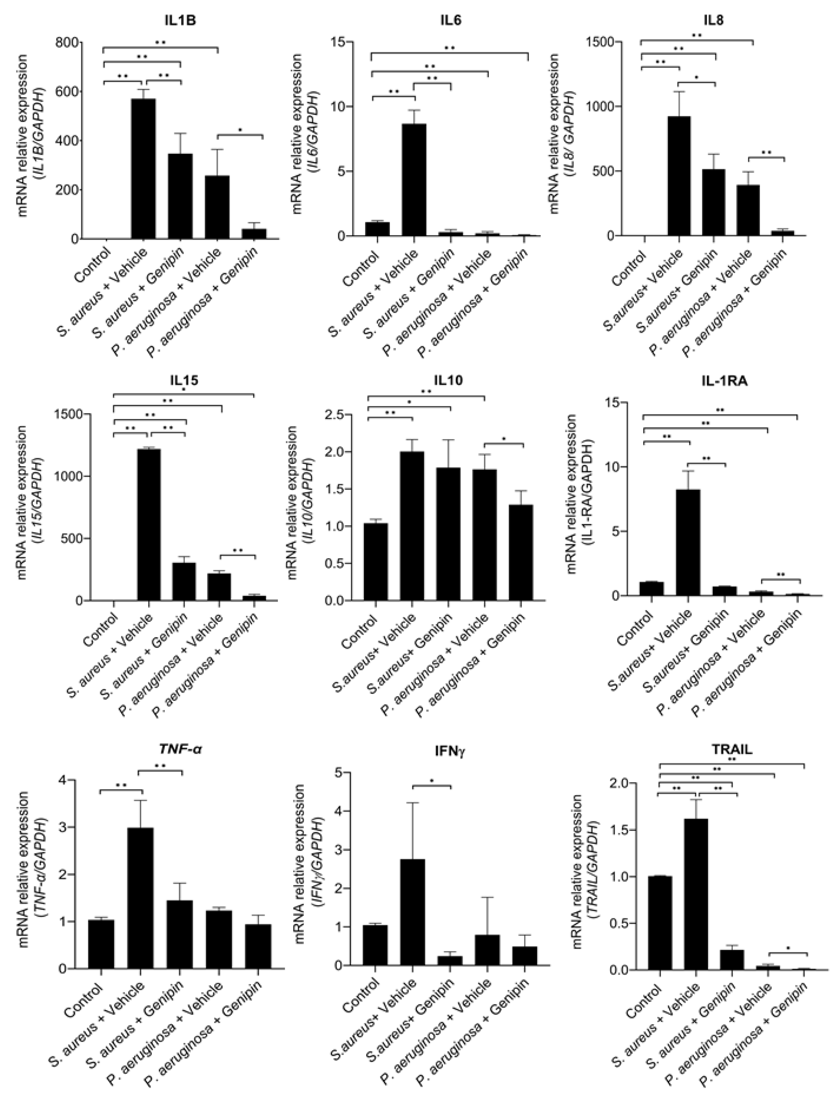 Ijms 24 06904 g003 Ijms 24 06904 g003