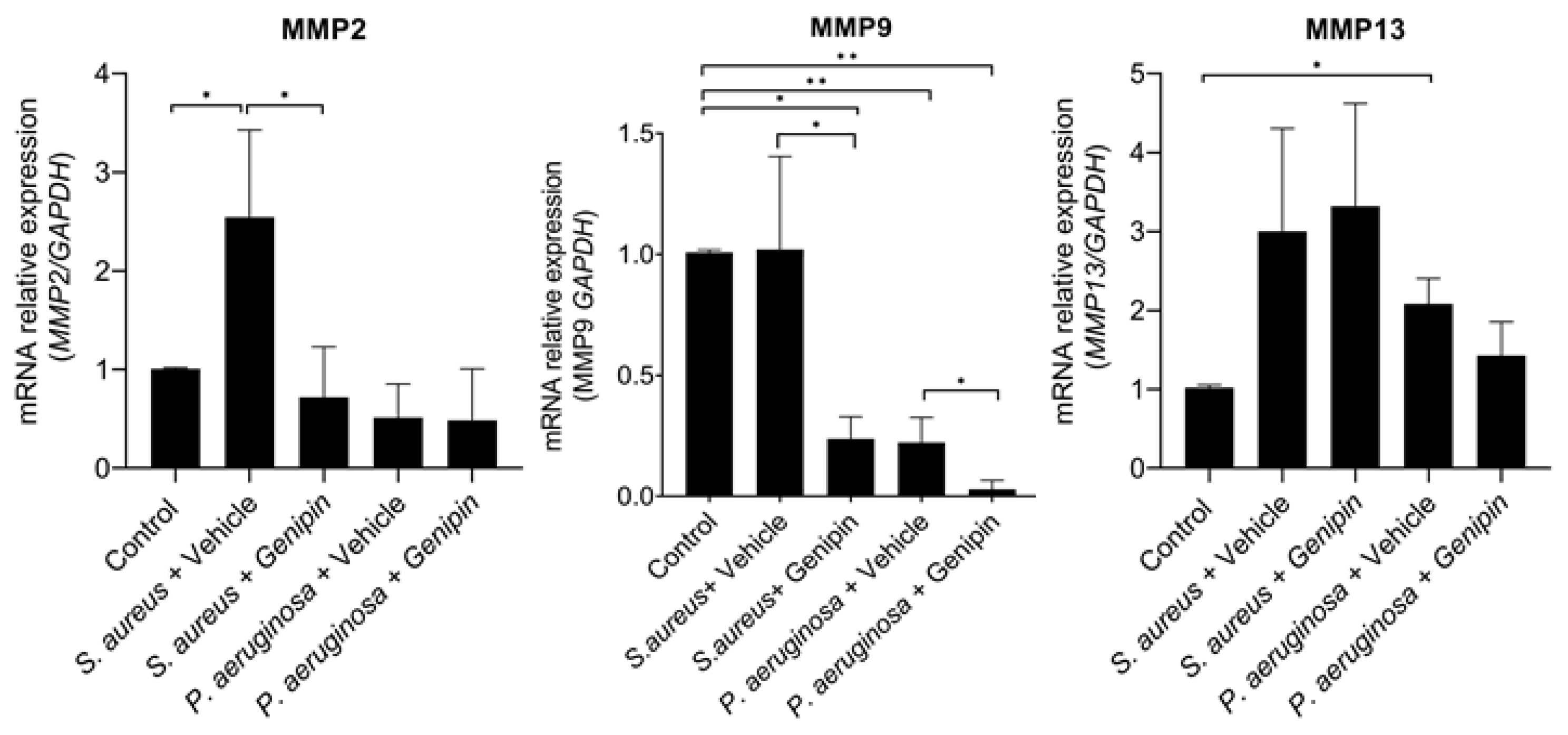 Ijms 24 06904 g004 Ijms 24 06904 g004