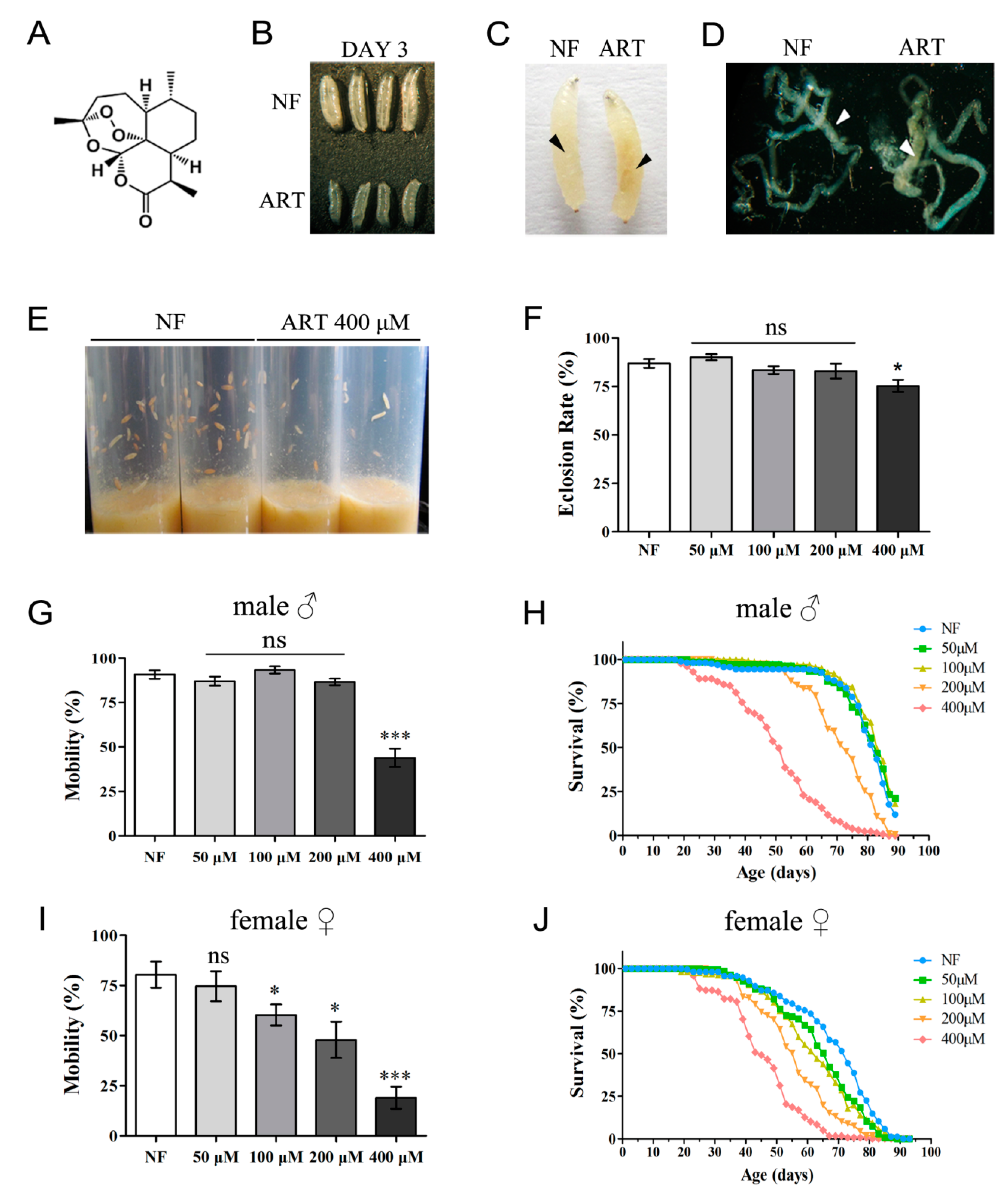 Ijms 24 06912 g001 Ijms 24 06912 g001