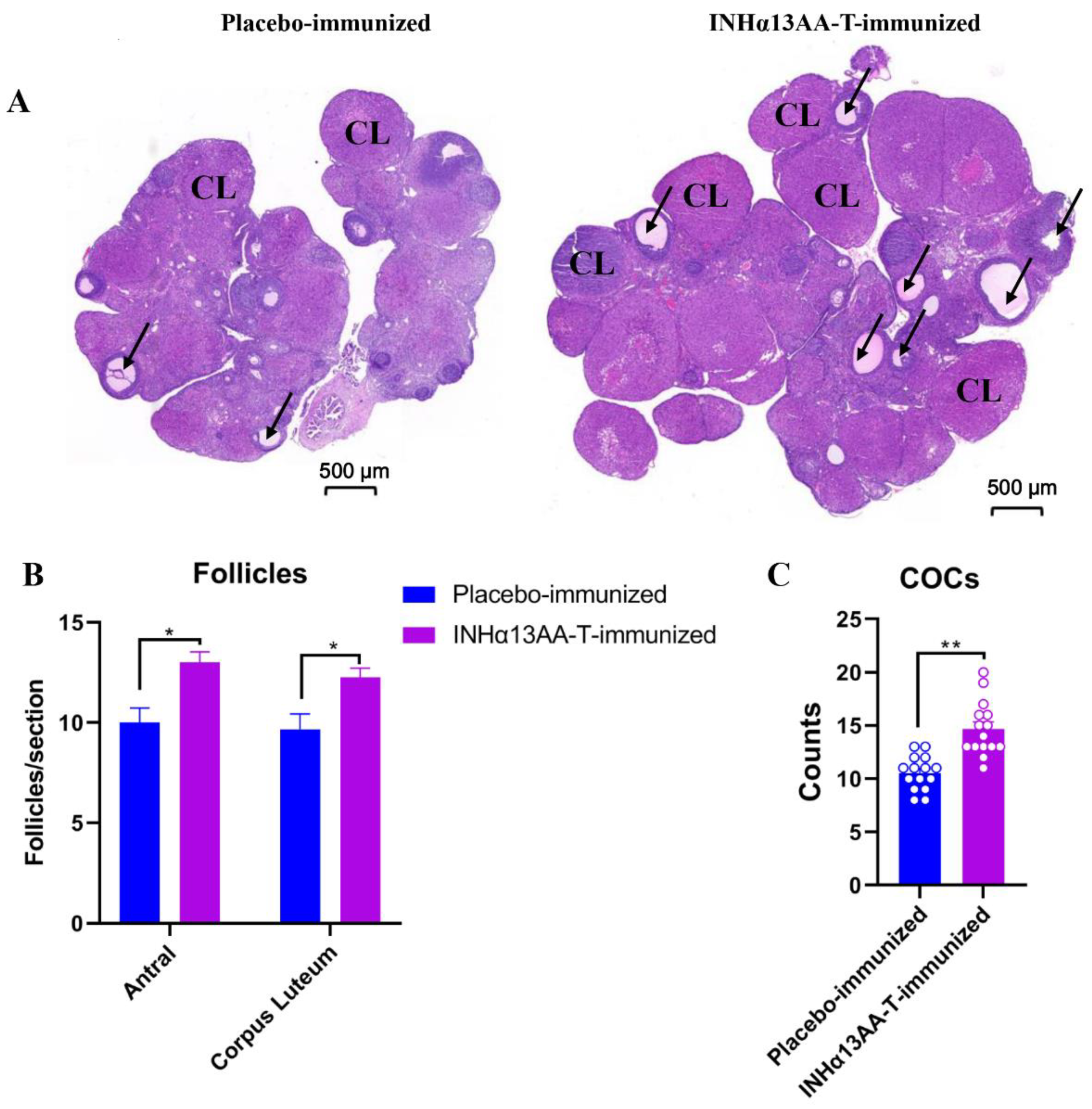 Ijms 24 06914 g004 Ijms 24 06914 g004