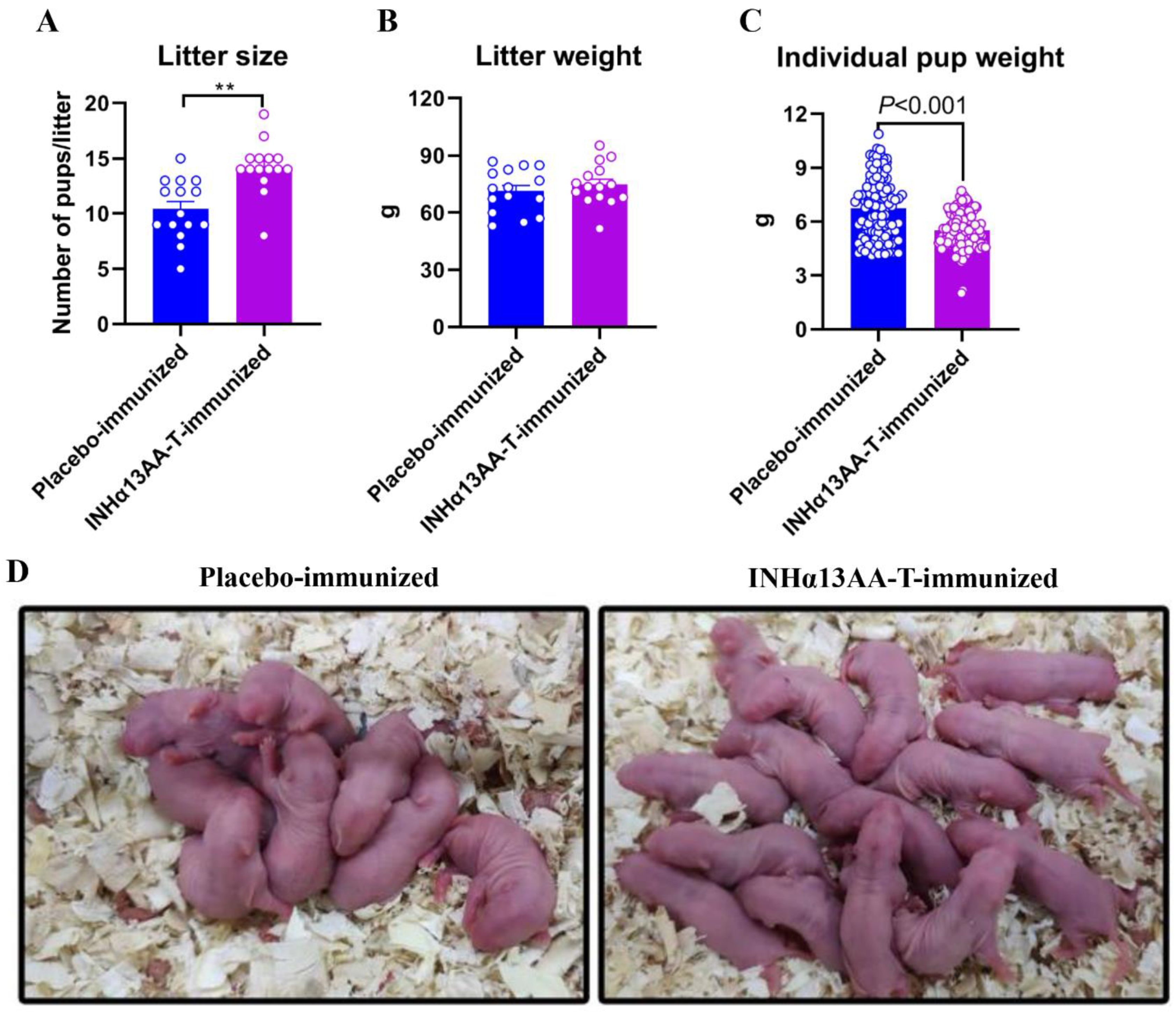 Ijms 24 06914 g006 Ijms 24 06914 g006