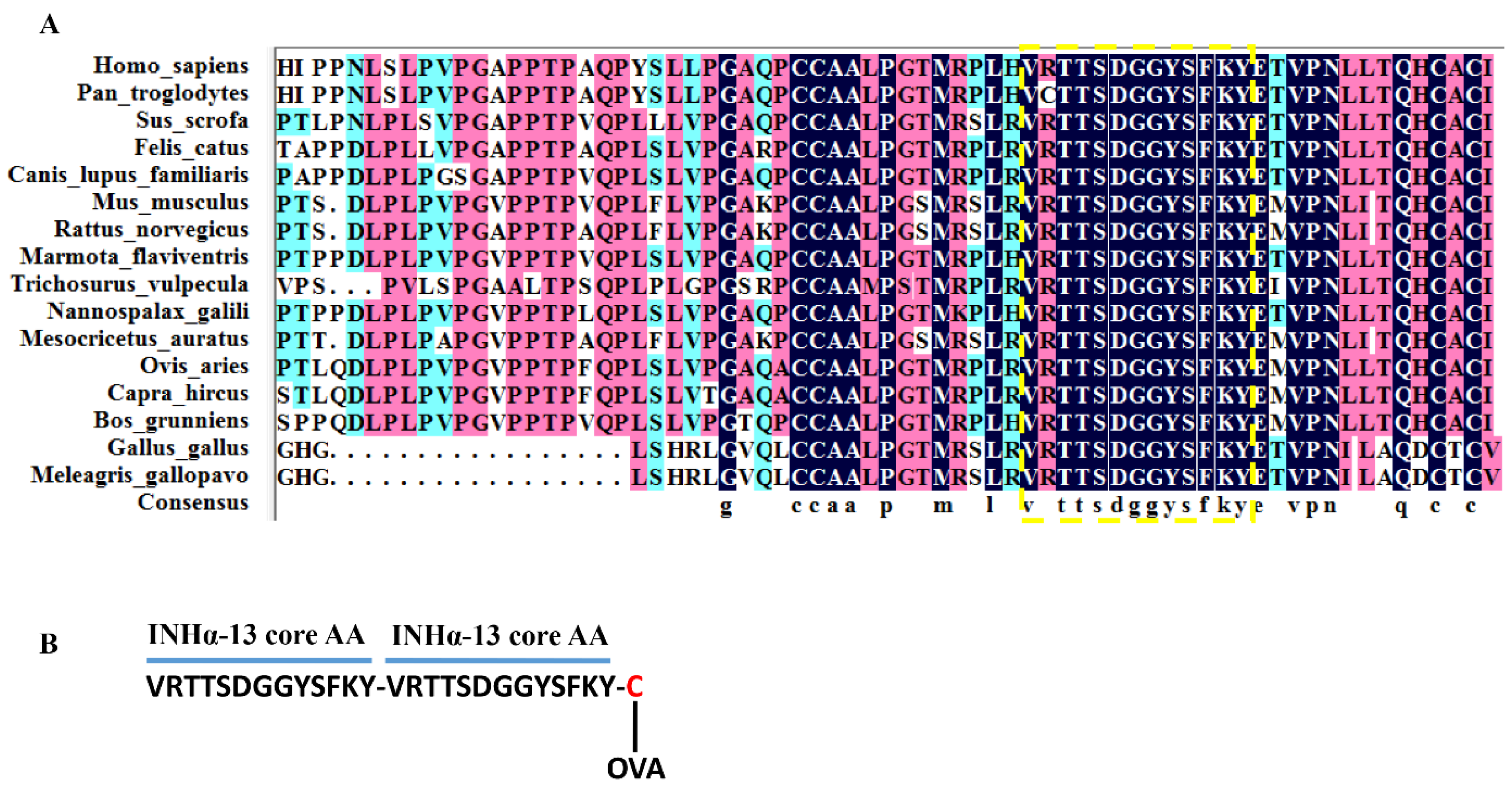 Ijms 24 06914 g007 Ijms 24 06914 g007