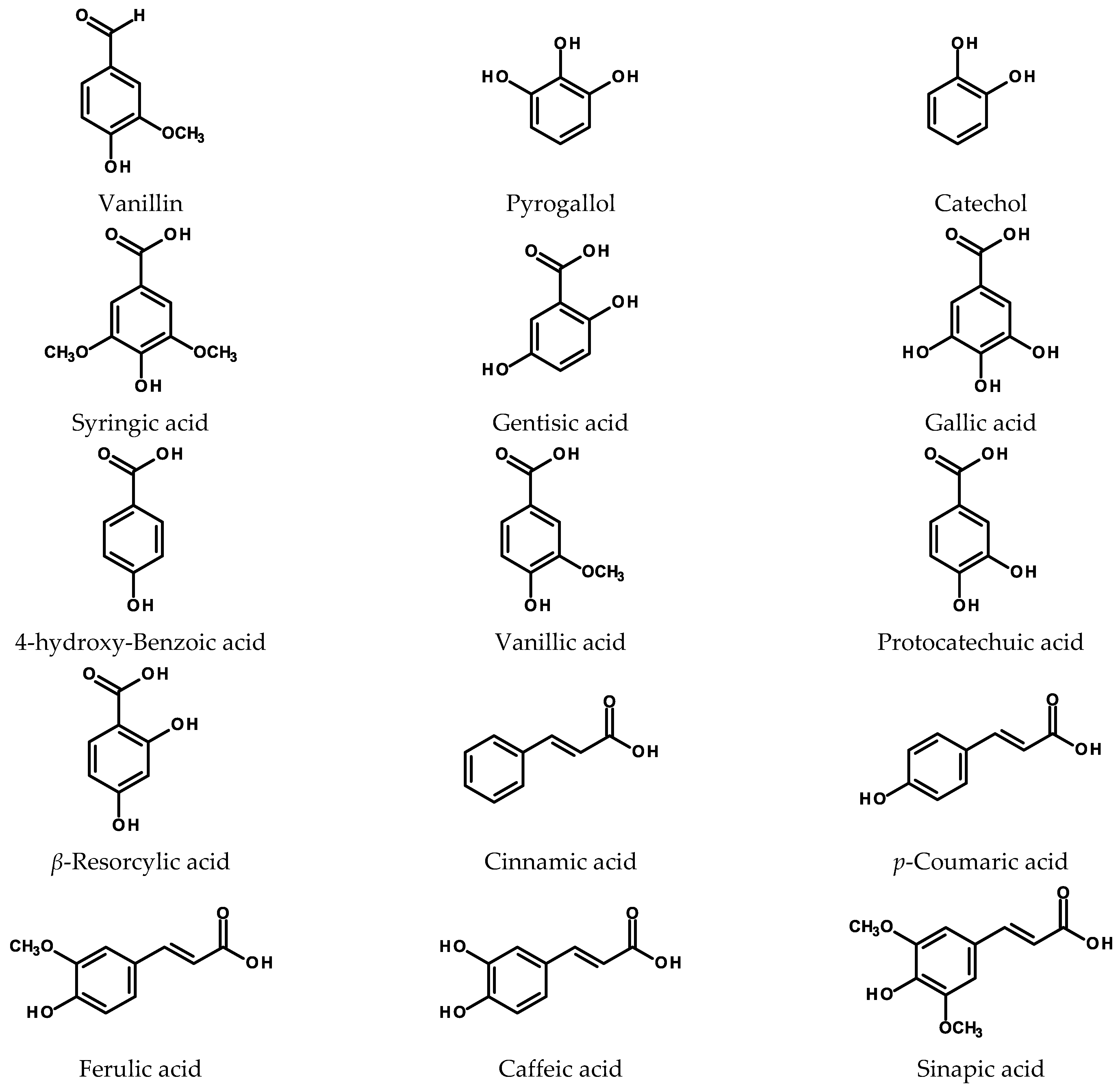 Ijms 24 06920 g001 Ijms 24 06920 g001