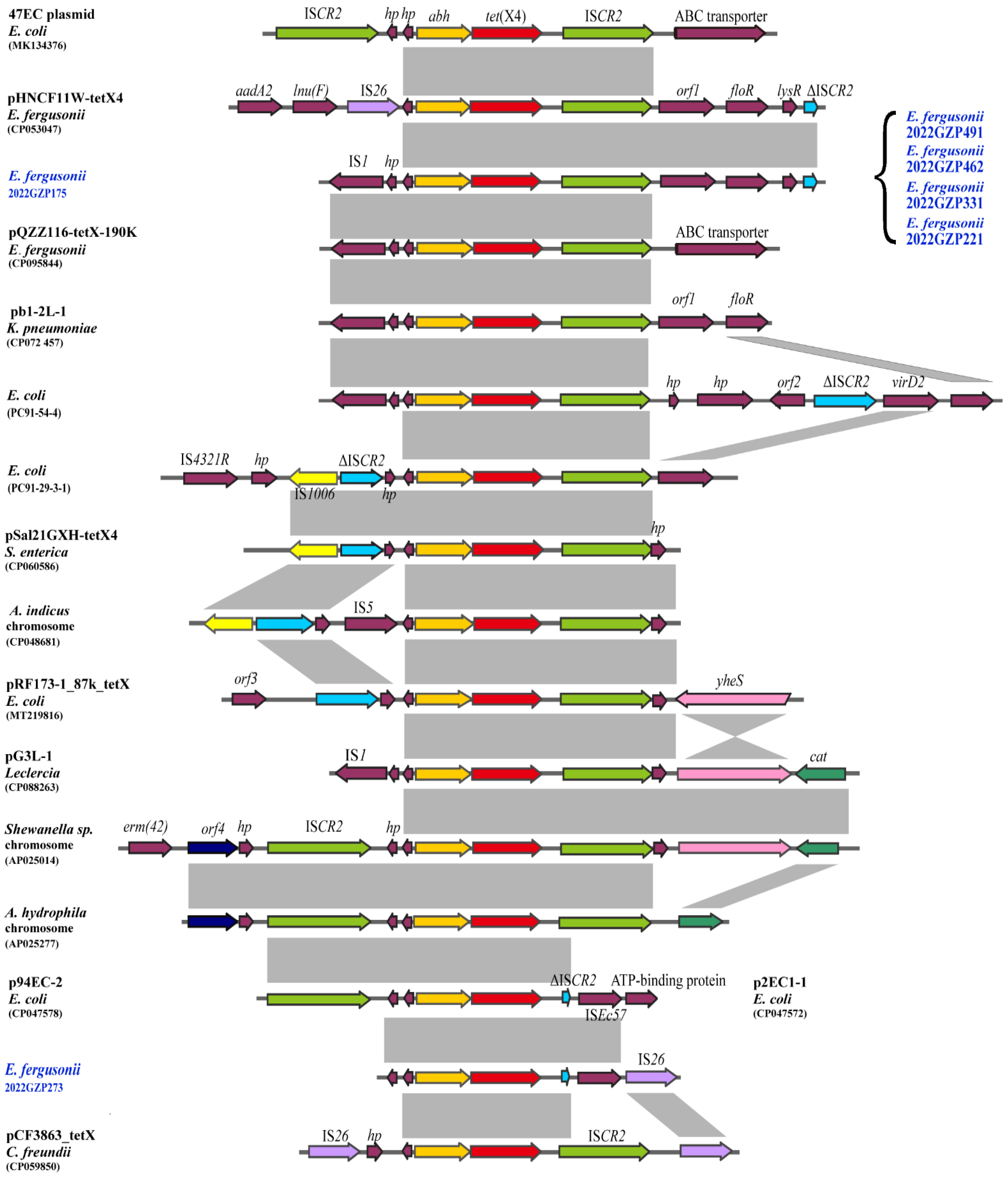 Ijms 24 06923 g002 Ijms 24 06923 g002