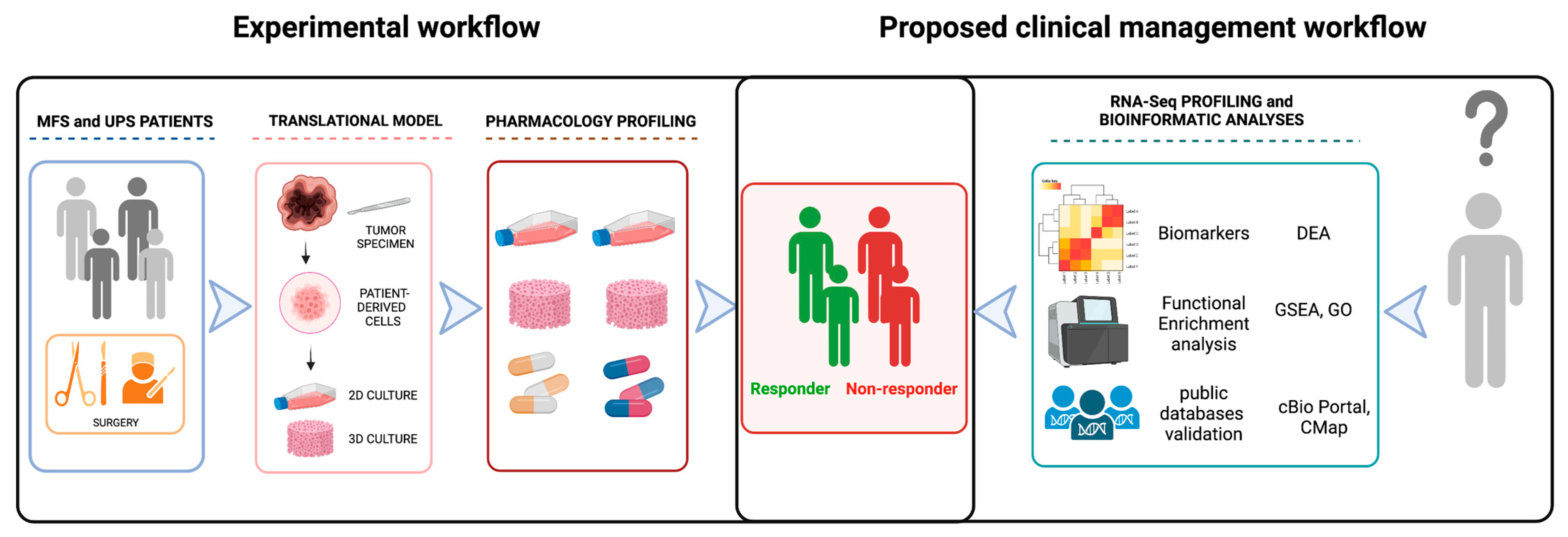 Ijms 24 06926 sch001 Ijms 24 06926 sch001