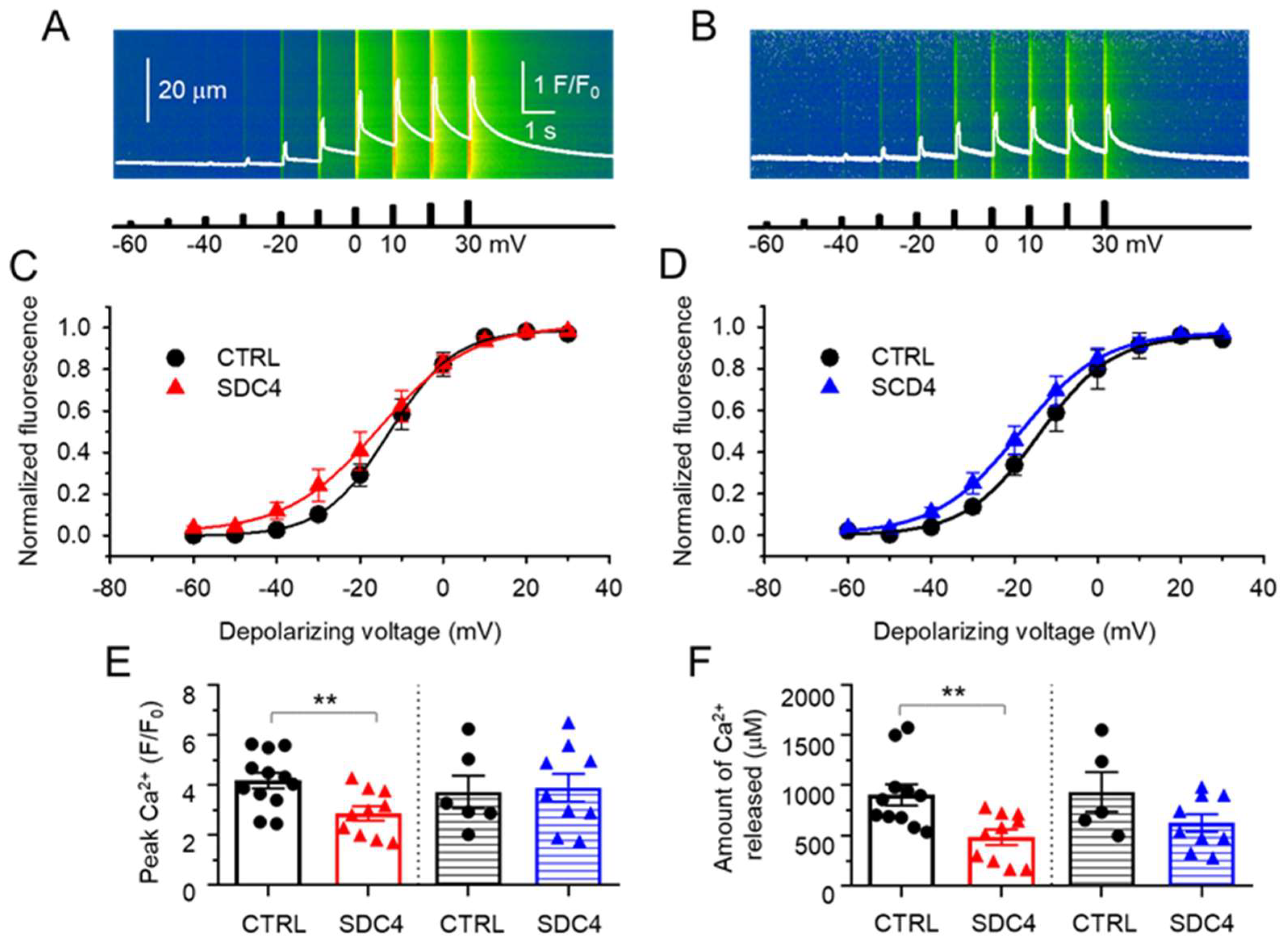 Ijms 24 06933 g004 Ijms 24 06933 g004