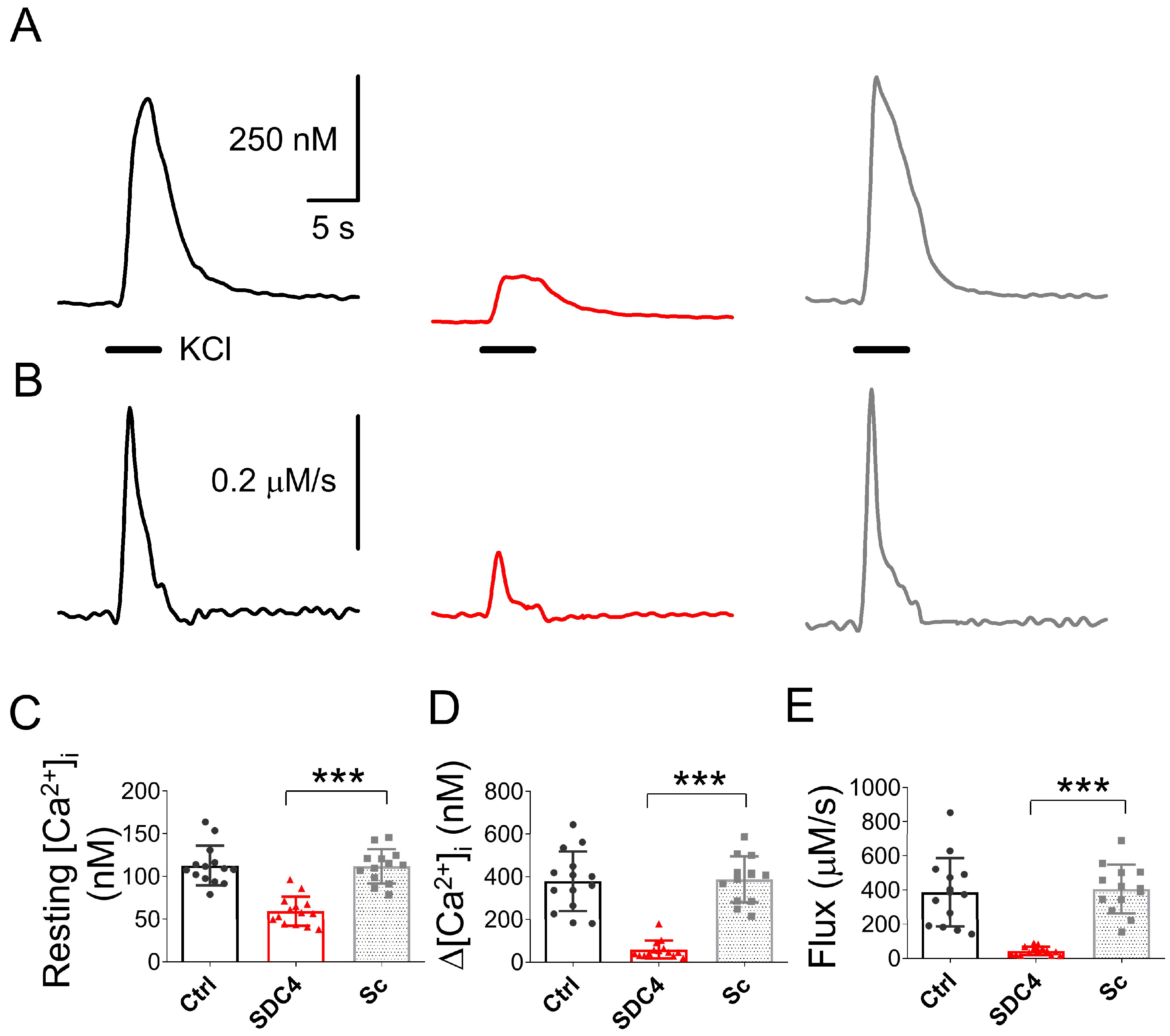 Ijms 24 06933 g005 Ijms 24 06933 g005