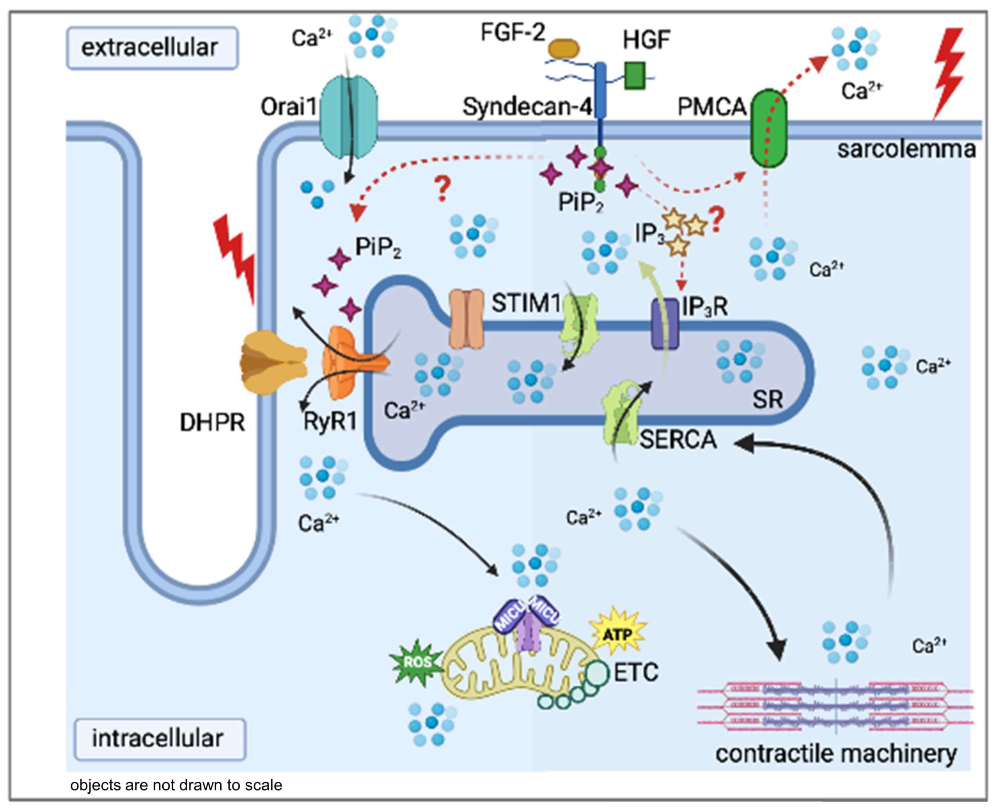 Ijms 24 06933 g007 Ijms 24 06933 g007