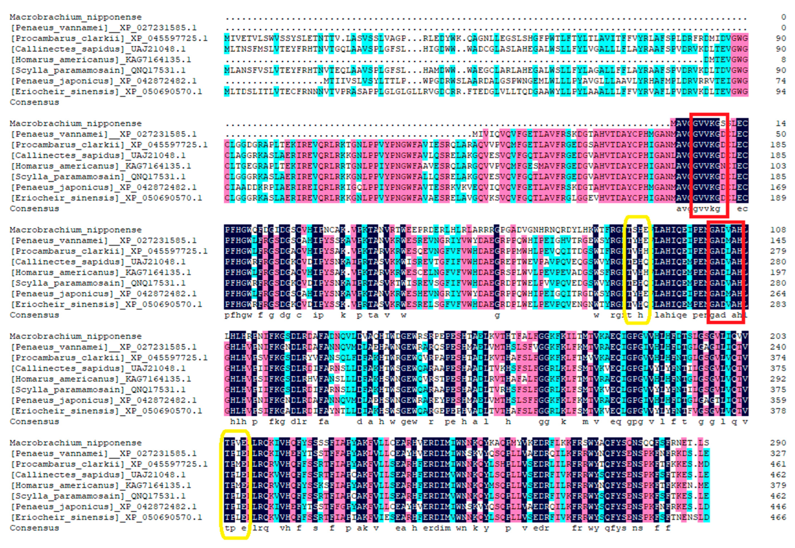 Ijms 24 06940 g002 Ijms 24 06940 g002