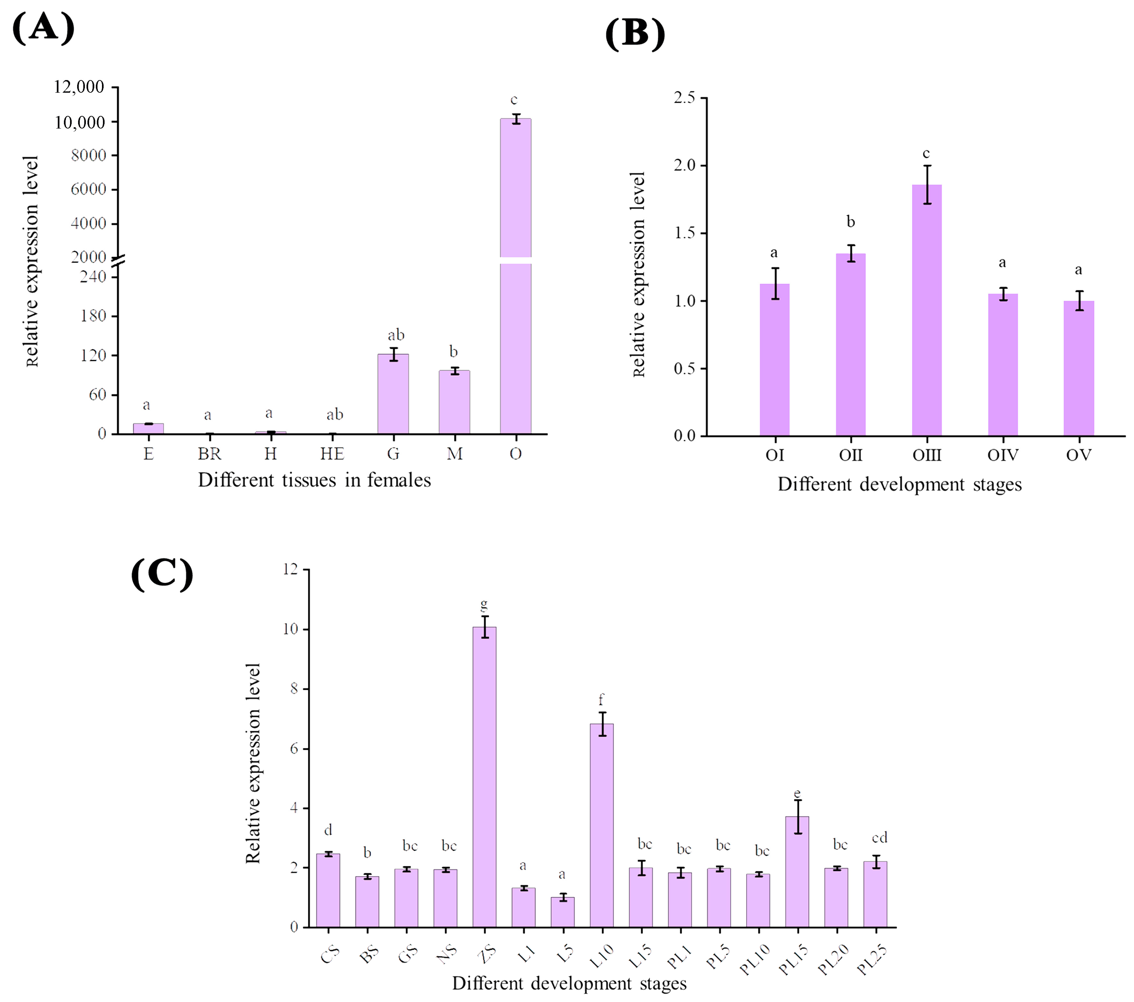 Ijms 24 06940 g004 Ijms 24 06940 g004