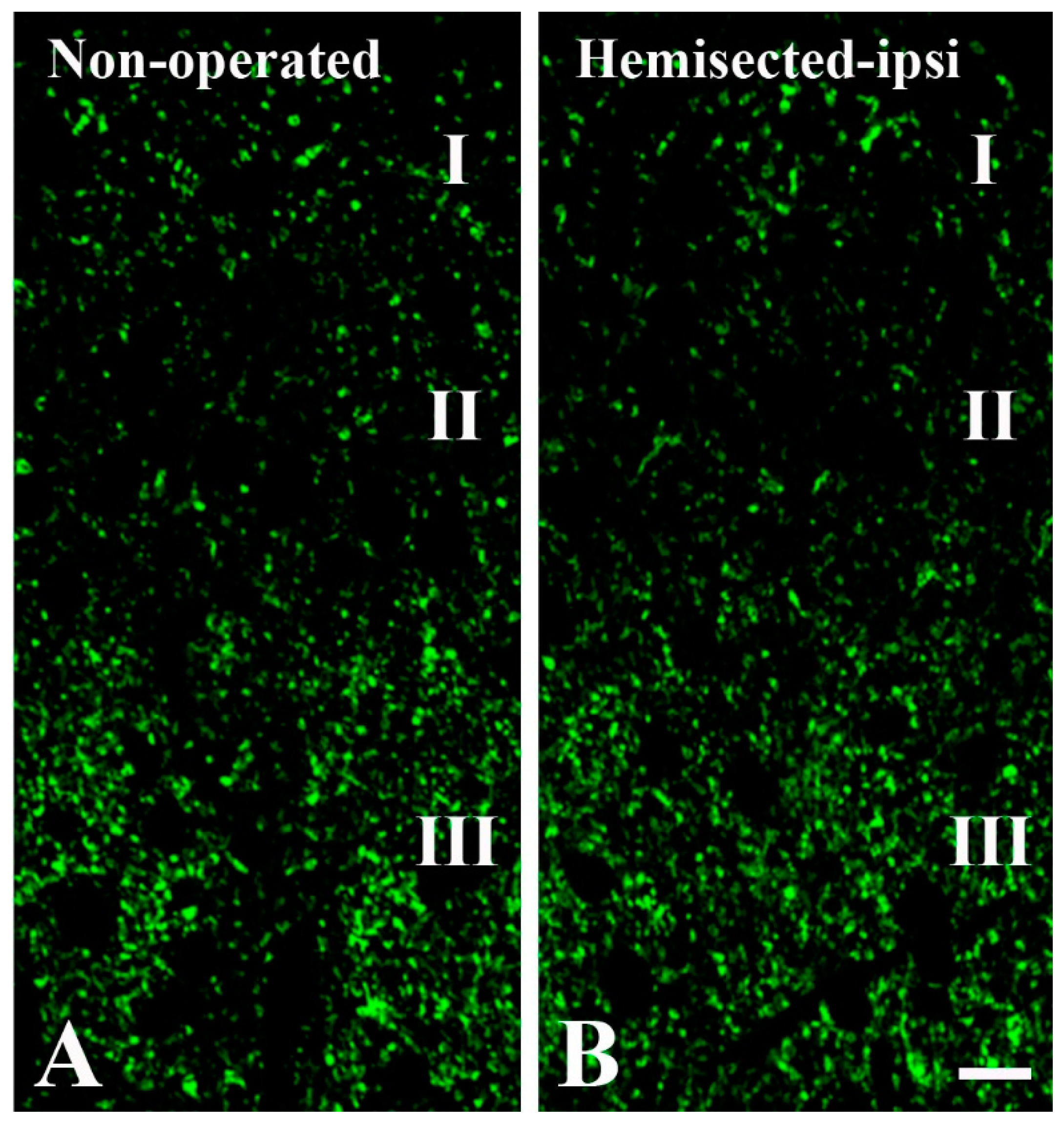 Ijms 24 06943 g002 Ijms 24 06943 g002