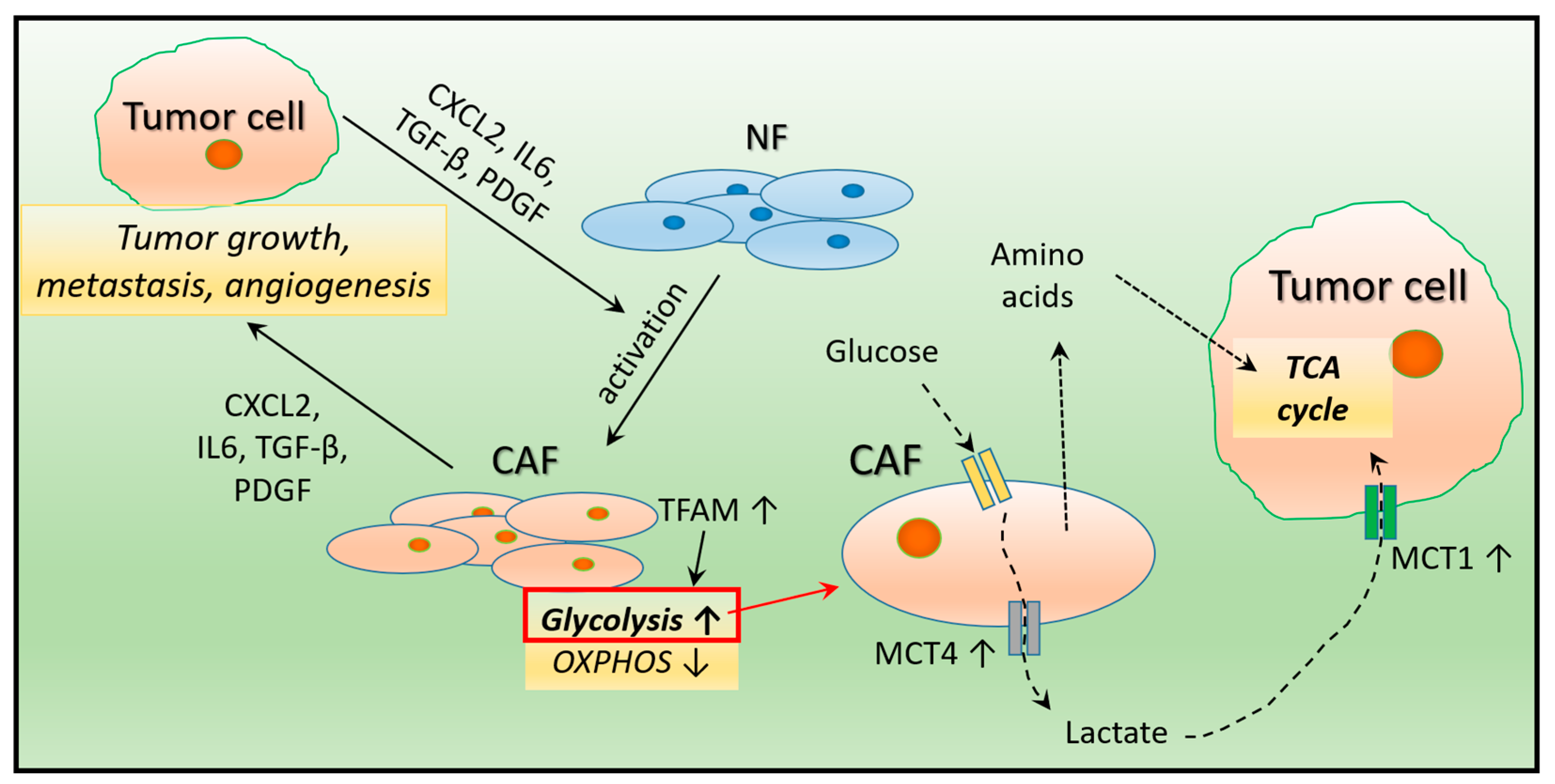 Ijms 24 06945 g001 Ijms 24 06945 g001