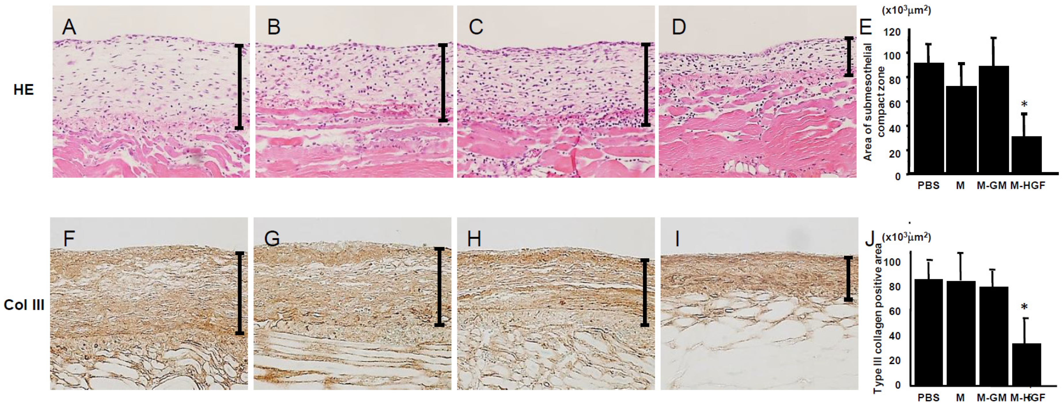 Ijms 24 06951 g002 Ijms 24 06951 g002