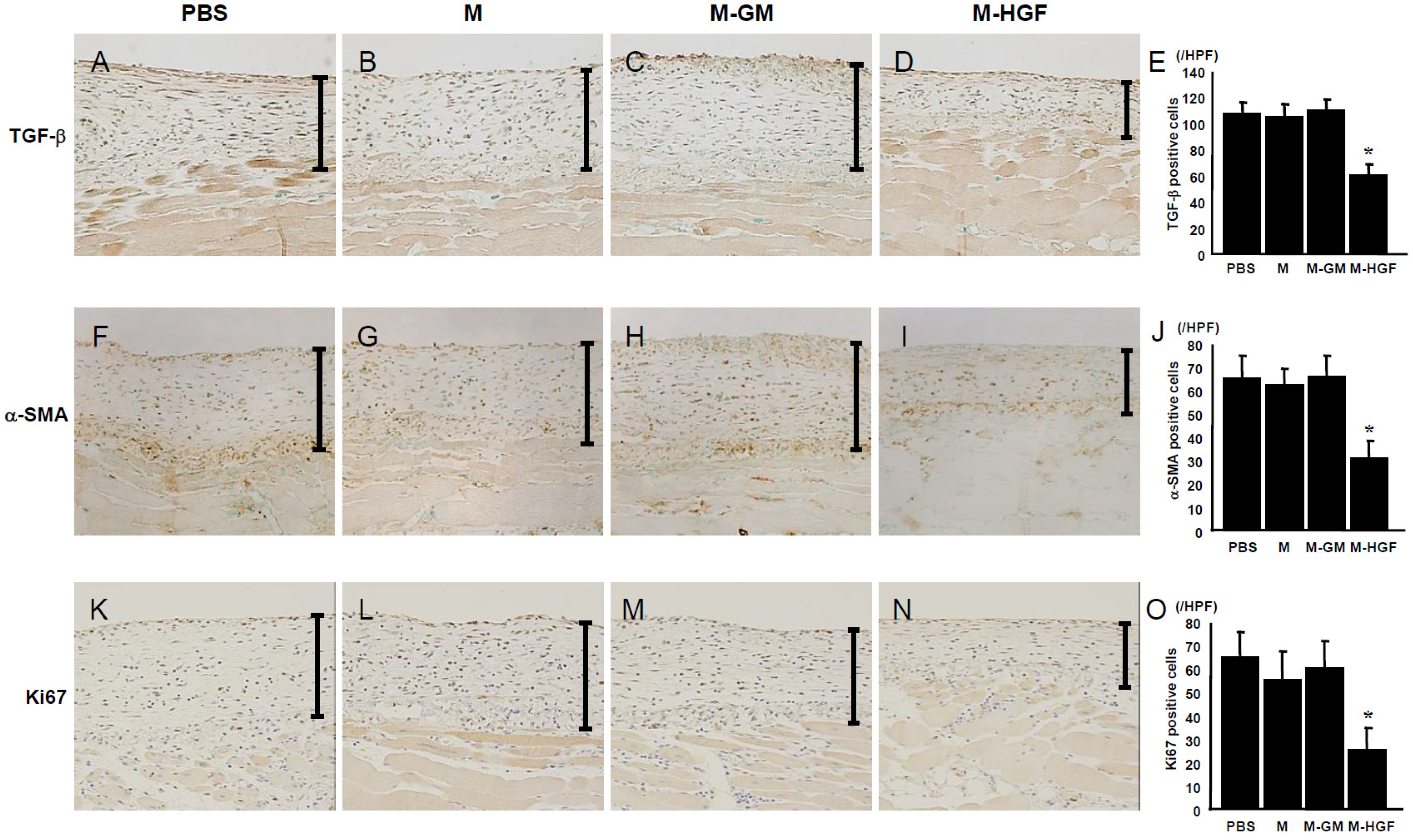 Ijms 24 06951 g003 Ijms 24 06951 g003