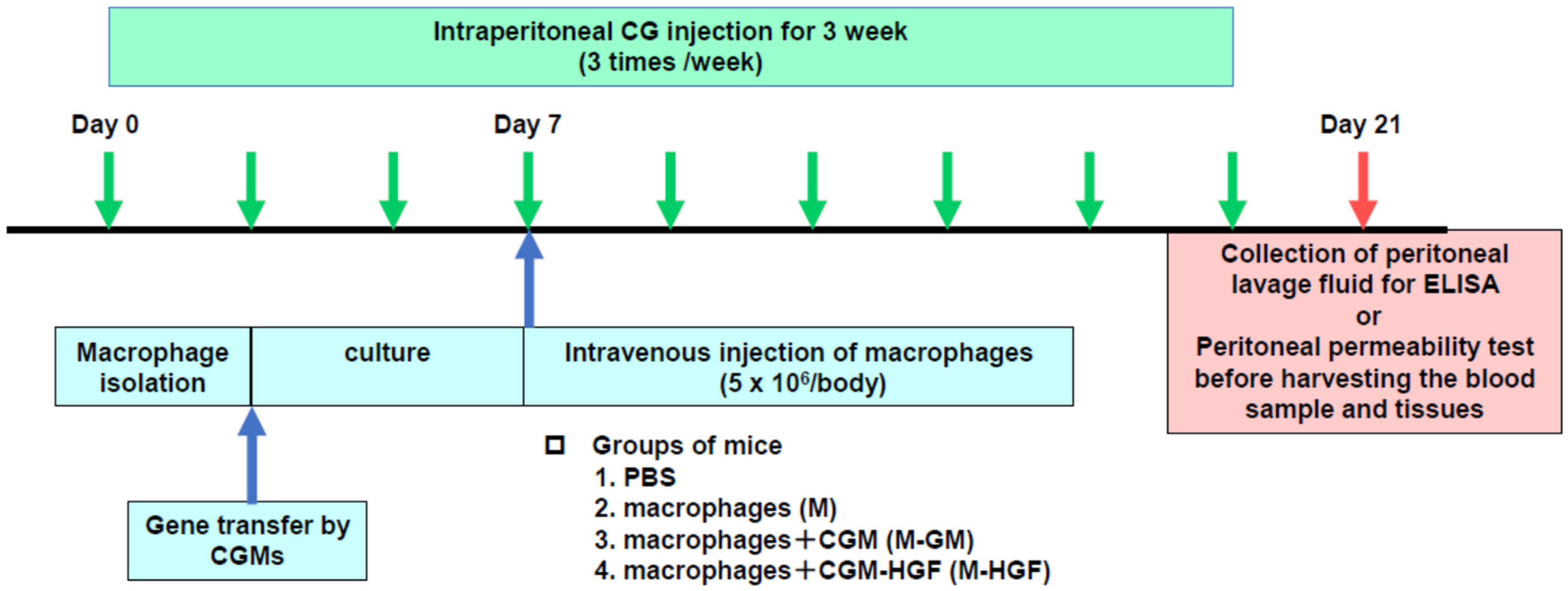 Ijms 24 06951 g005 Ijms 24 06951 g005