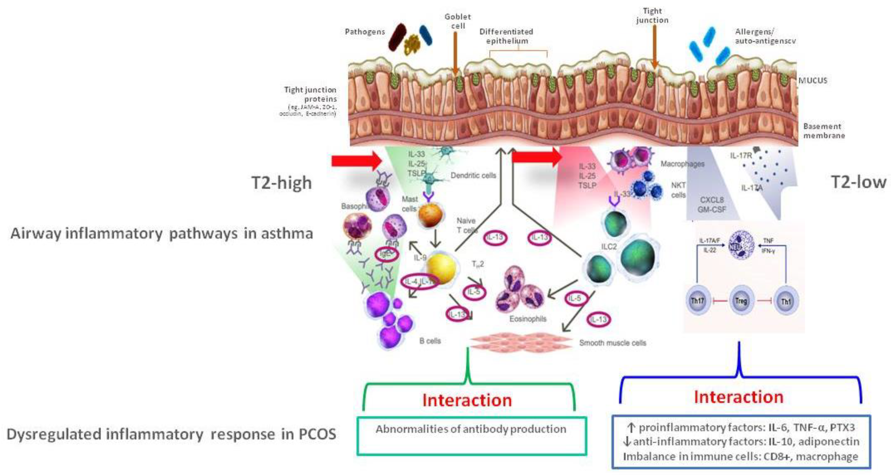 Ijms 24 06959 g002 Ijms 24 06959 g002