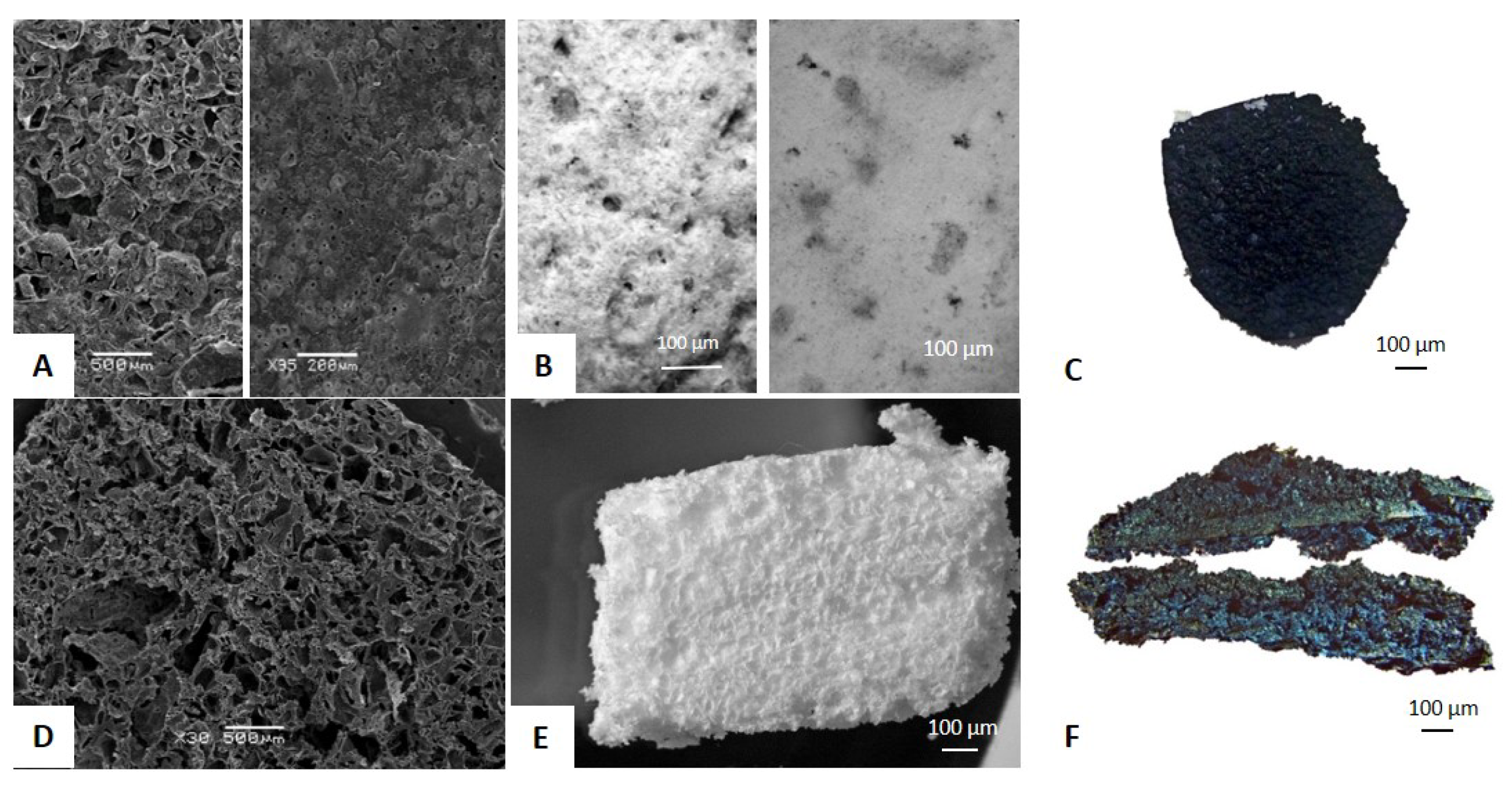 Ijms 24 06965 g002 Ijms 24 06965 g002