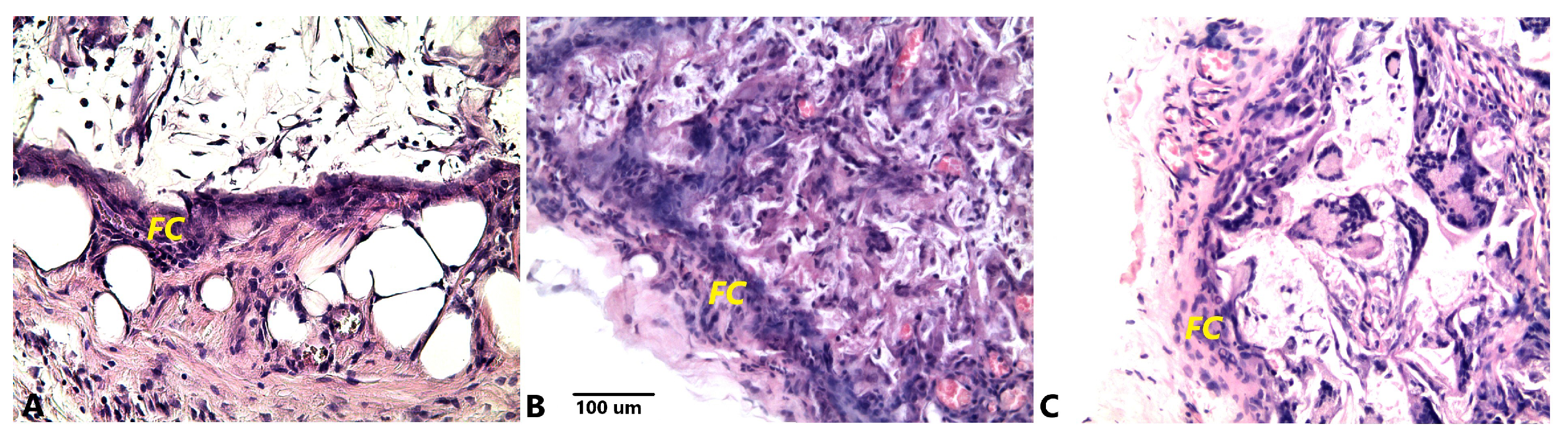 Ijms 24 06965 g005 Ijms 24 06965 g005