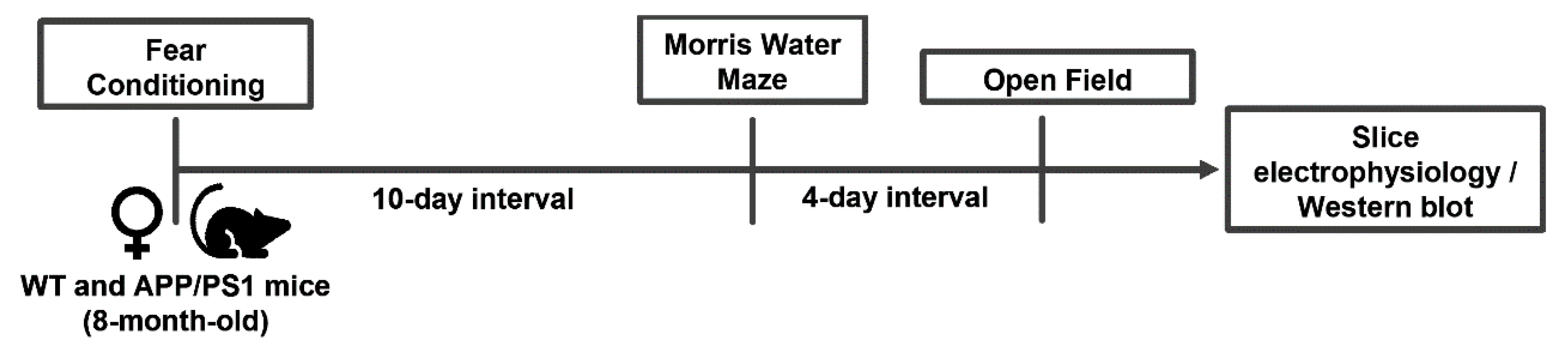 Ijms 24 06968 g001 Ijms 24 06968 g001