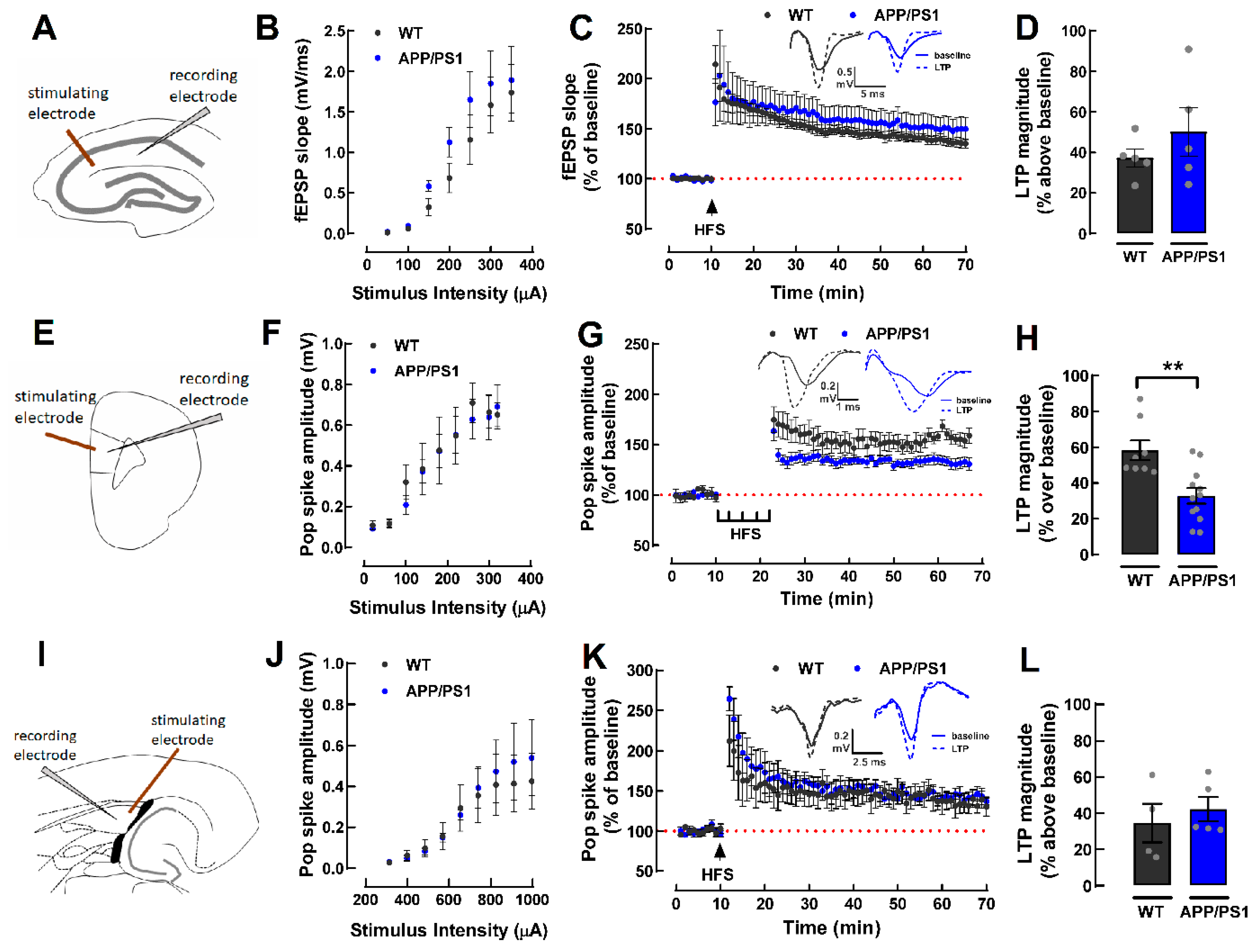 Ijms 24 06968 g003 Ijms 24 06968 g003